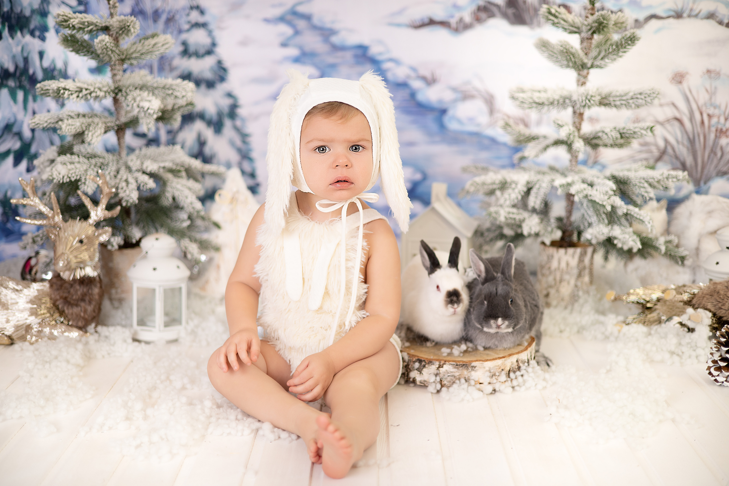 Лев. Детский новорождённых и детей постарше Анисимова Полина