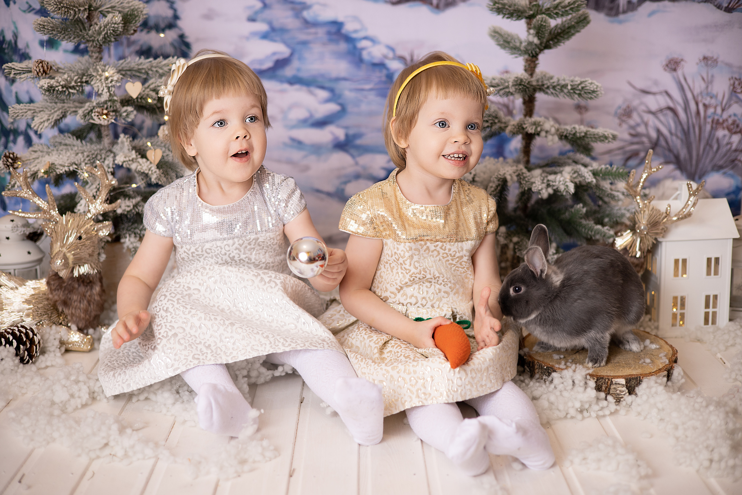 Настя и Катя. Детский новорождённых и детей постарше Анисимова Полина