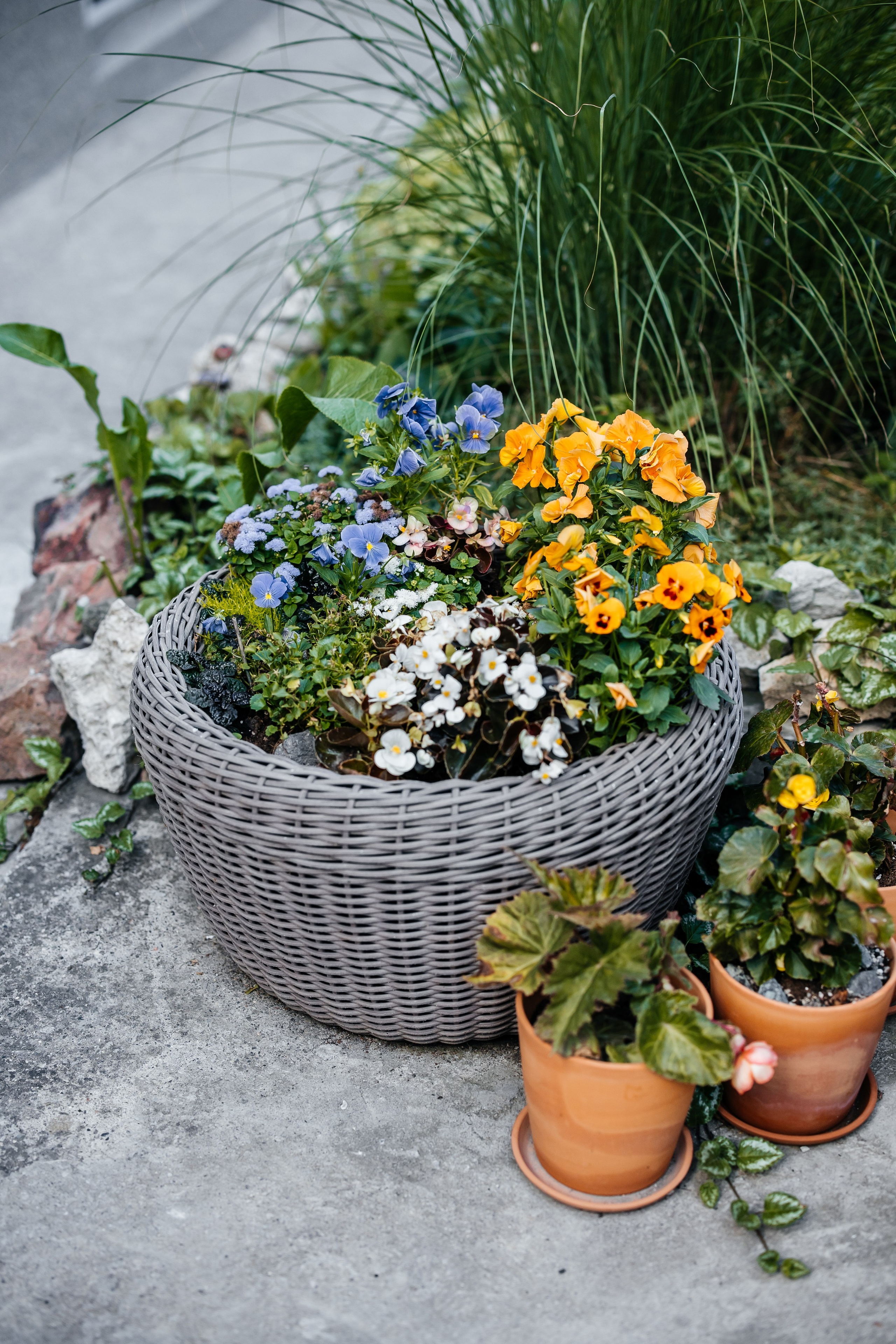 Freedom House. Самый свадебный фотограф