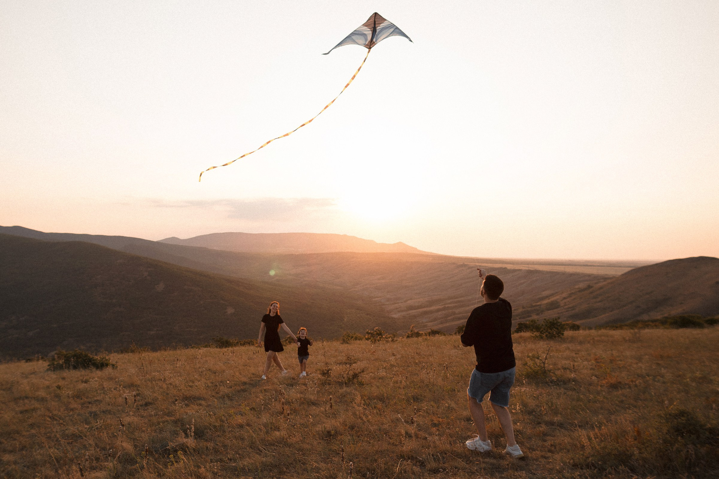 Воздушный змей. Sovushka DS