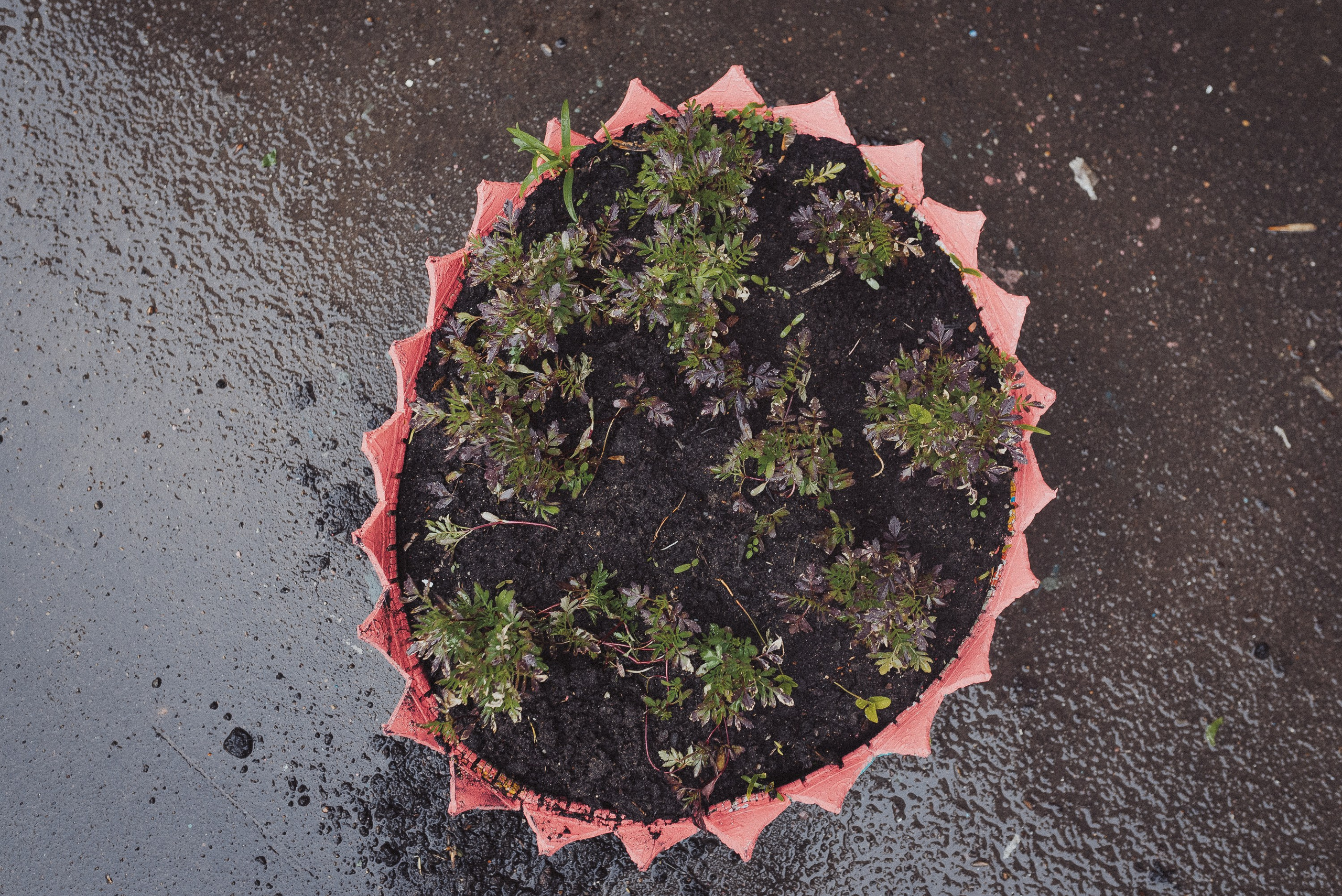 Фотопроект «ЯШина». Документальный фотограф Илья Тихановский