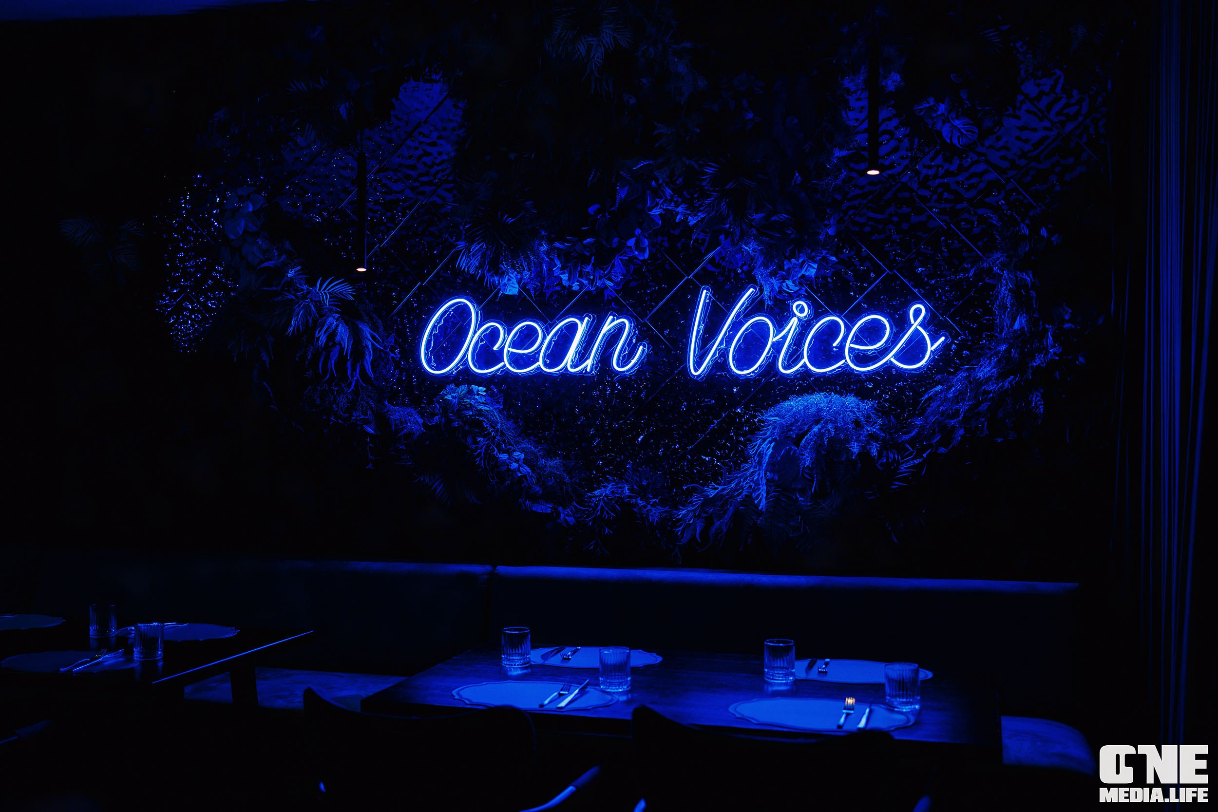Фоторепортаж из ресторана Океан. One Media Life: фоторепортажи, фотоотчеты с мероприятий и заведений