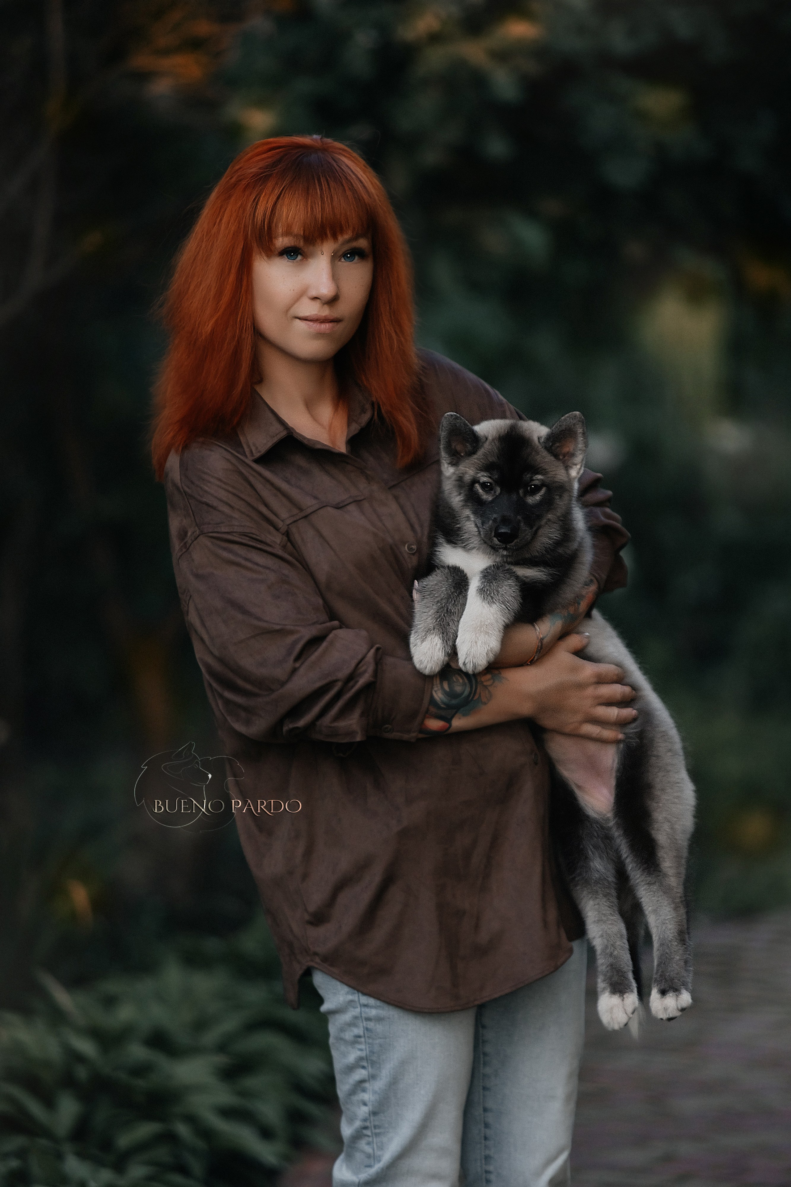Щенки сибирского хаски из питомника. Питомник собак Акита, Хаски, Корги