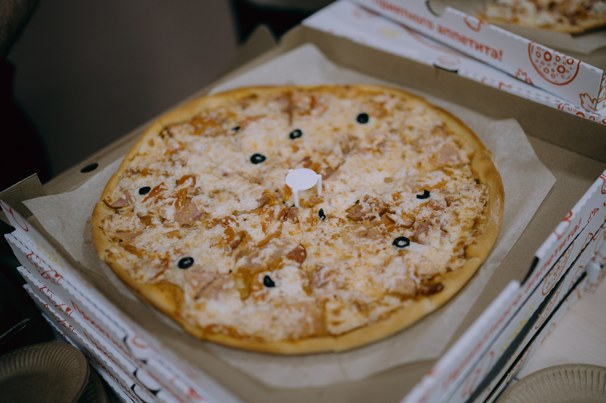 Спортивно-коммуникативная игра «МЫ СЕМЬЯ» // 02.02.25. Денис Прохоров Фотограф в г. Магнитогорск