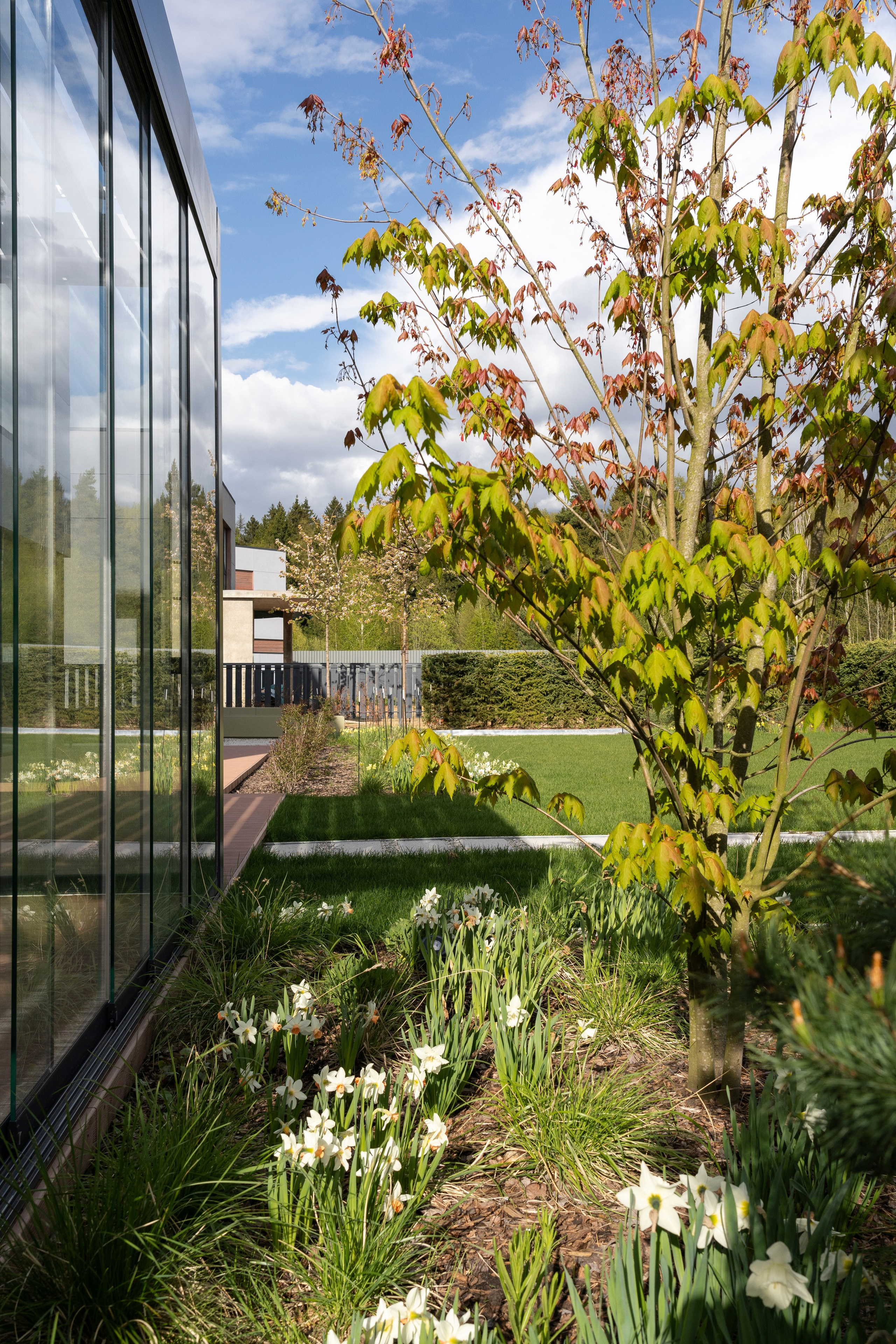 Blooming in the garden, Moscow region. Артамонов Александр | Архитектурный и ландшафтный фотограф
