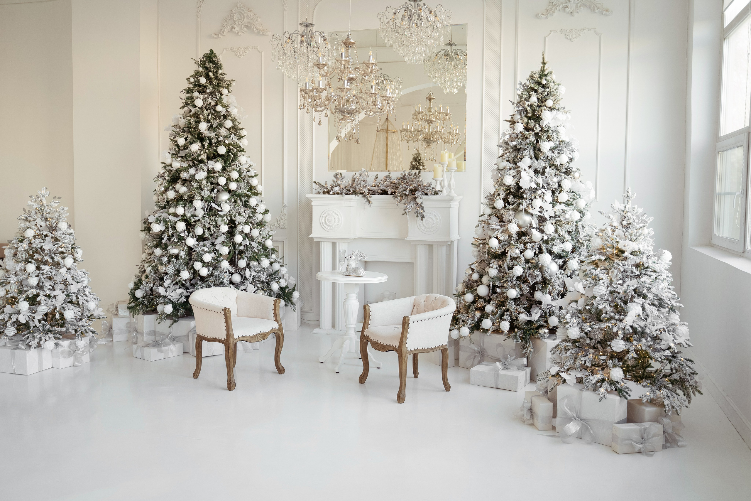 Фотостудии новый год 2025. Профессиональный фотограф Максим Романов в городе Хабаровске