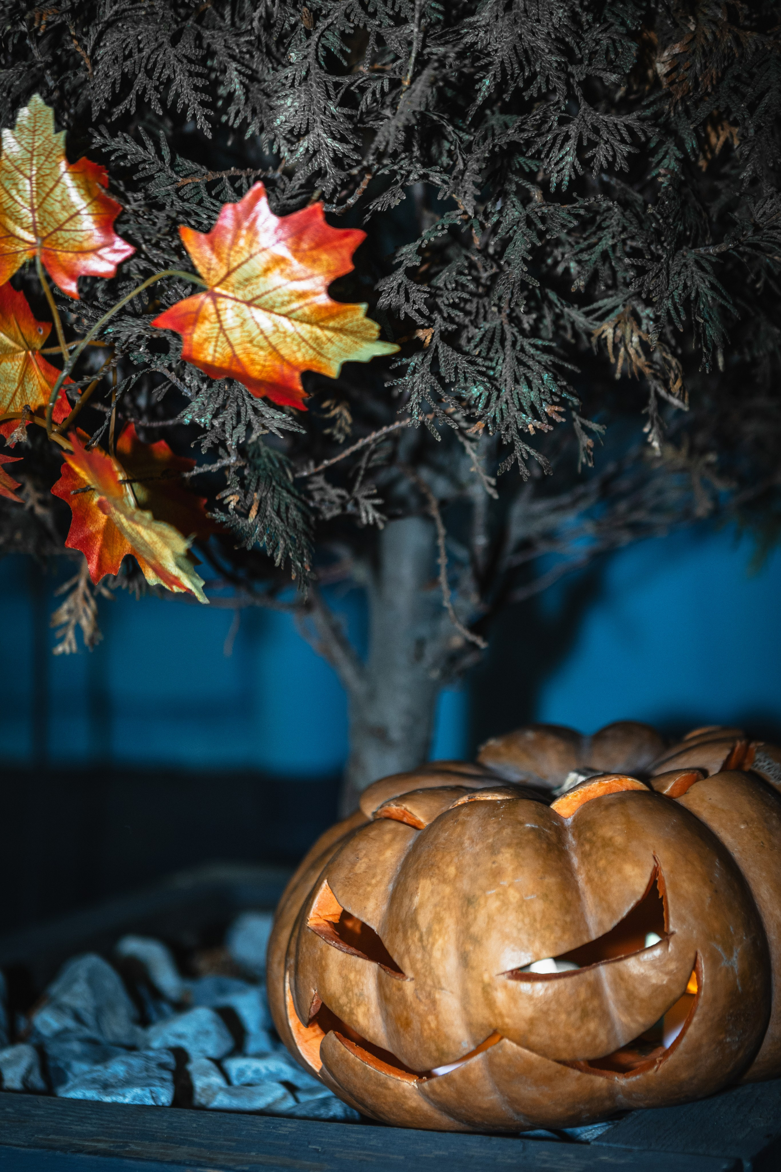 Halloween: АРТ ШКОЛА #1. Фотограф, Таганрог, Руслан Степущенко