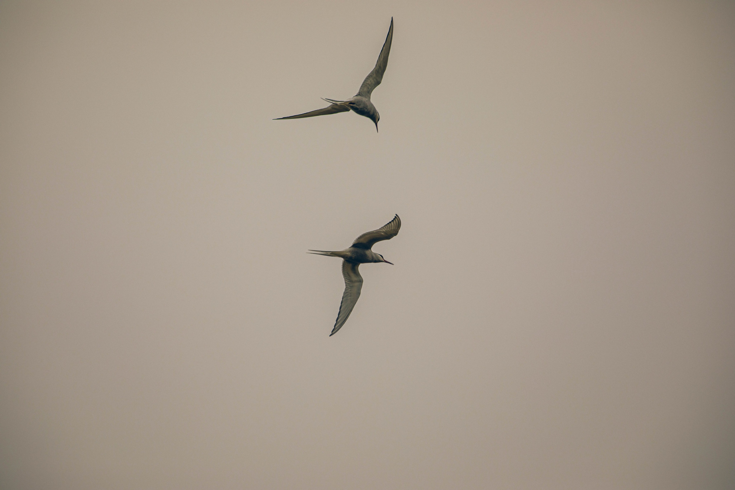 Кольский полуостров. Фотографирую для себя, своей семьи и друзей!