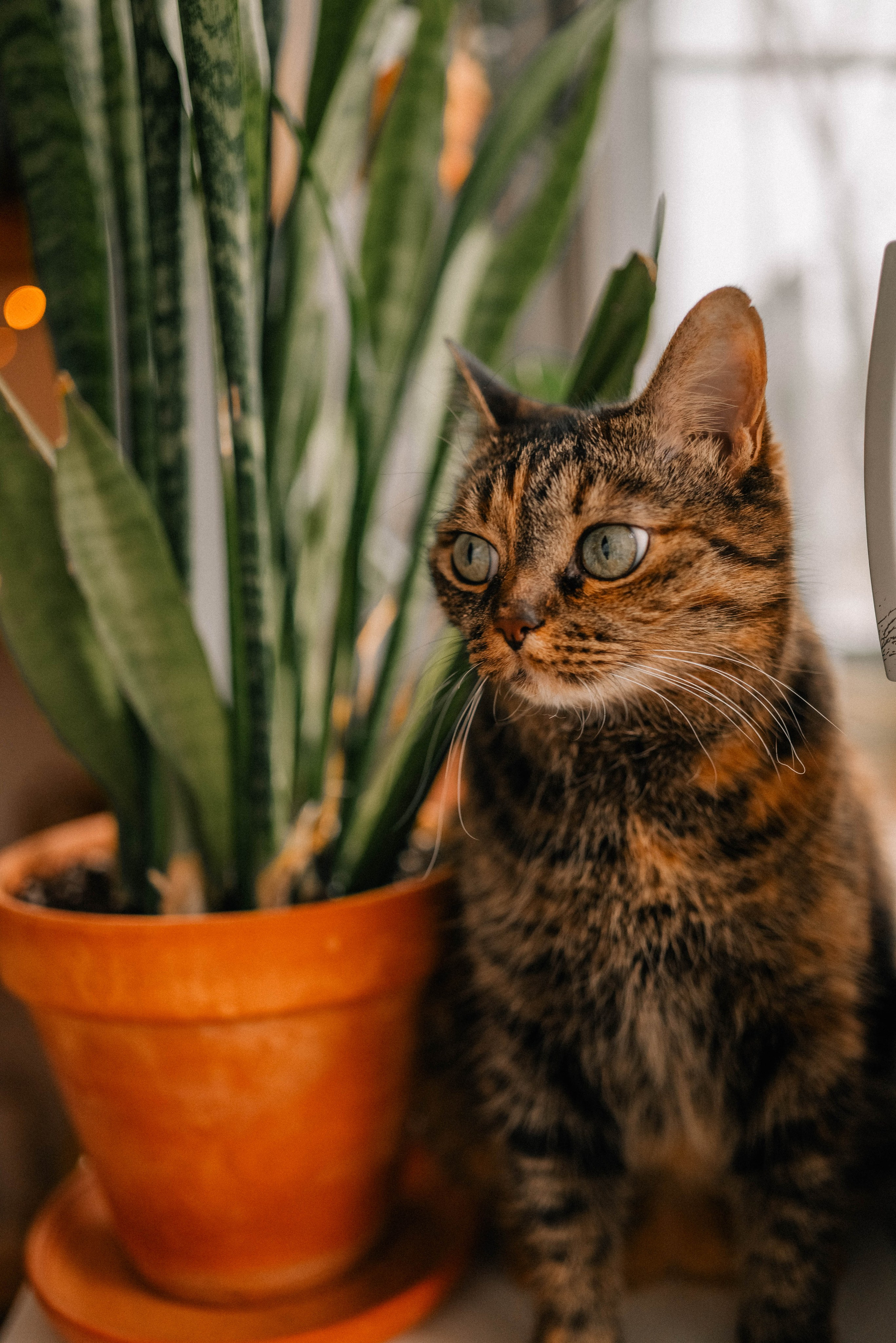Дома хорошо. Семейный фотограф в Москве Люберцах Ирина Вронская