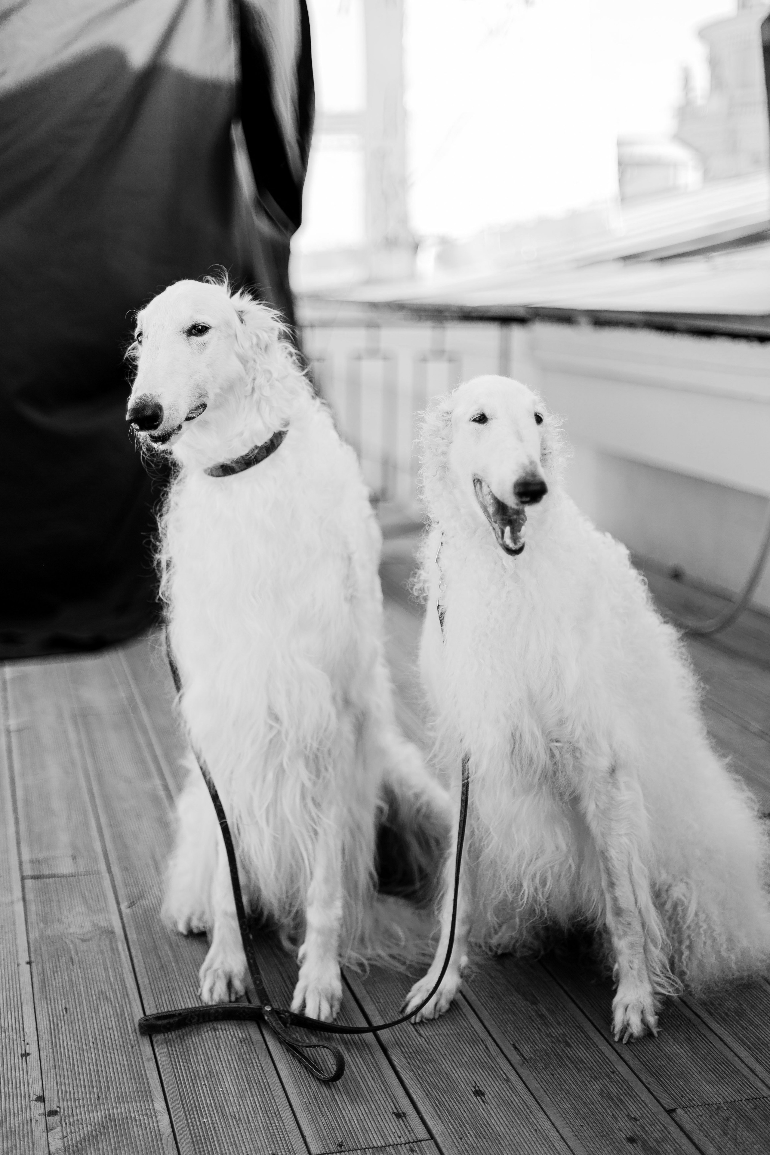Стильное утро невесты, свадебный фотограф Москва, студия лофт