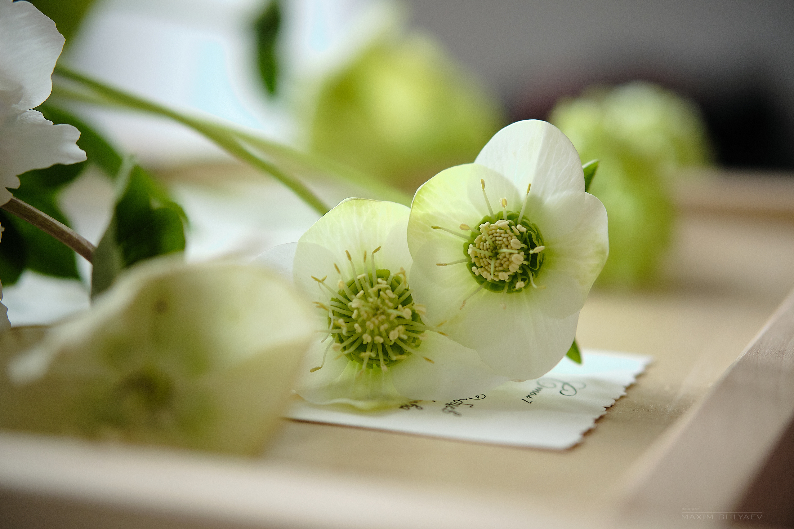 Свадебная фототосессия в фотостудии города Нижний Новгород