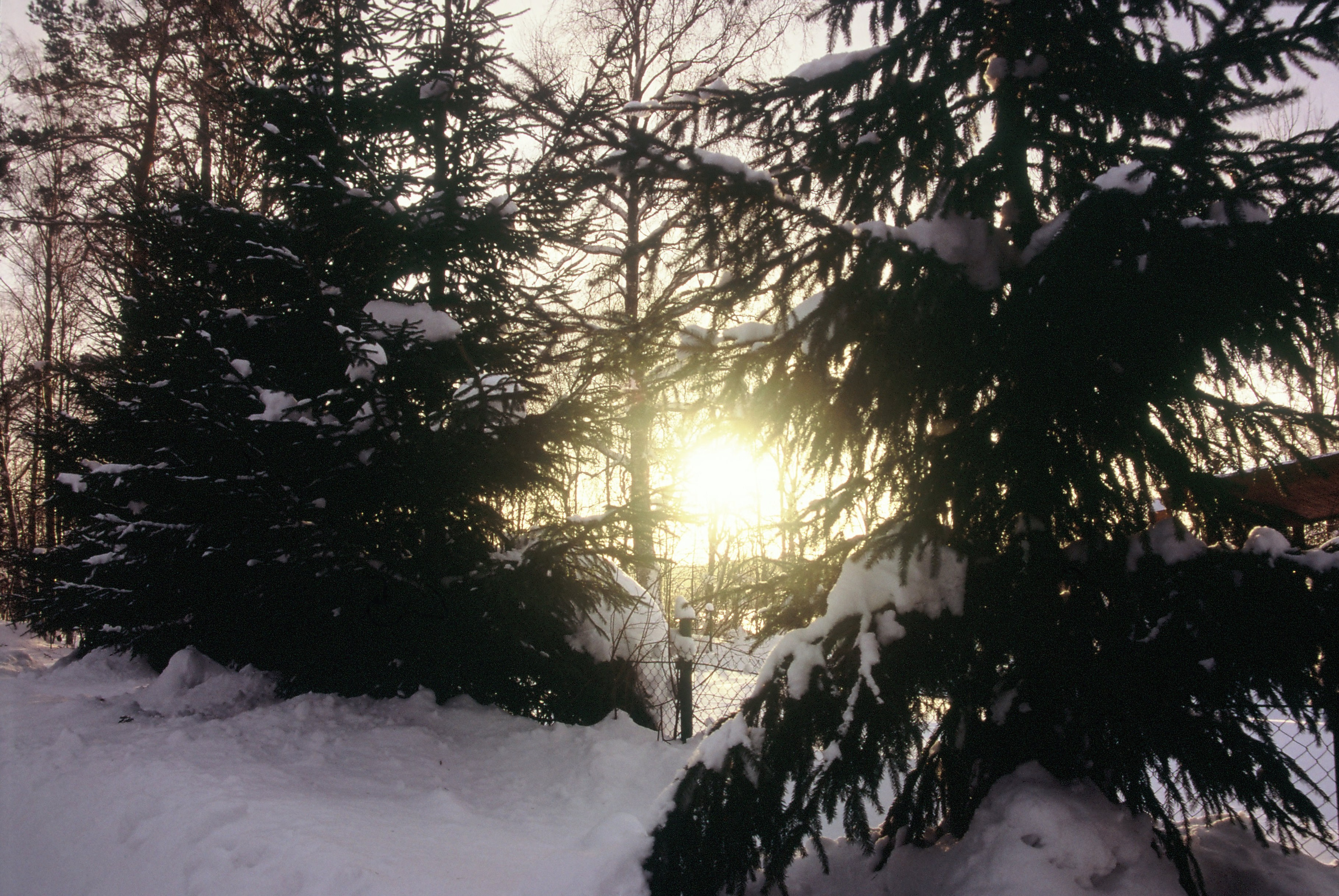 Film. Ruslan UI Dev Page