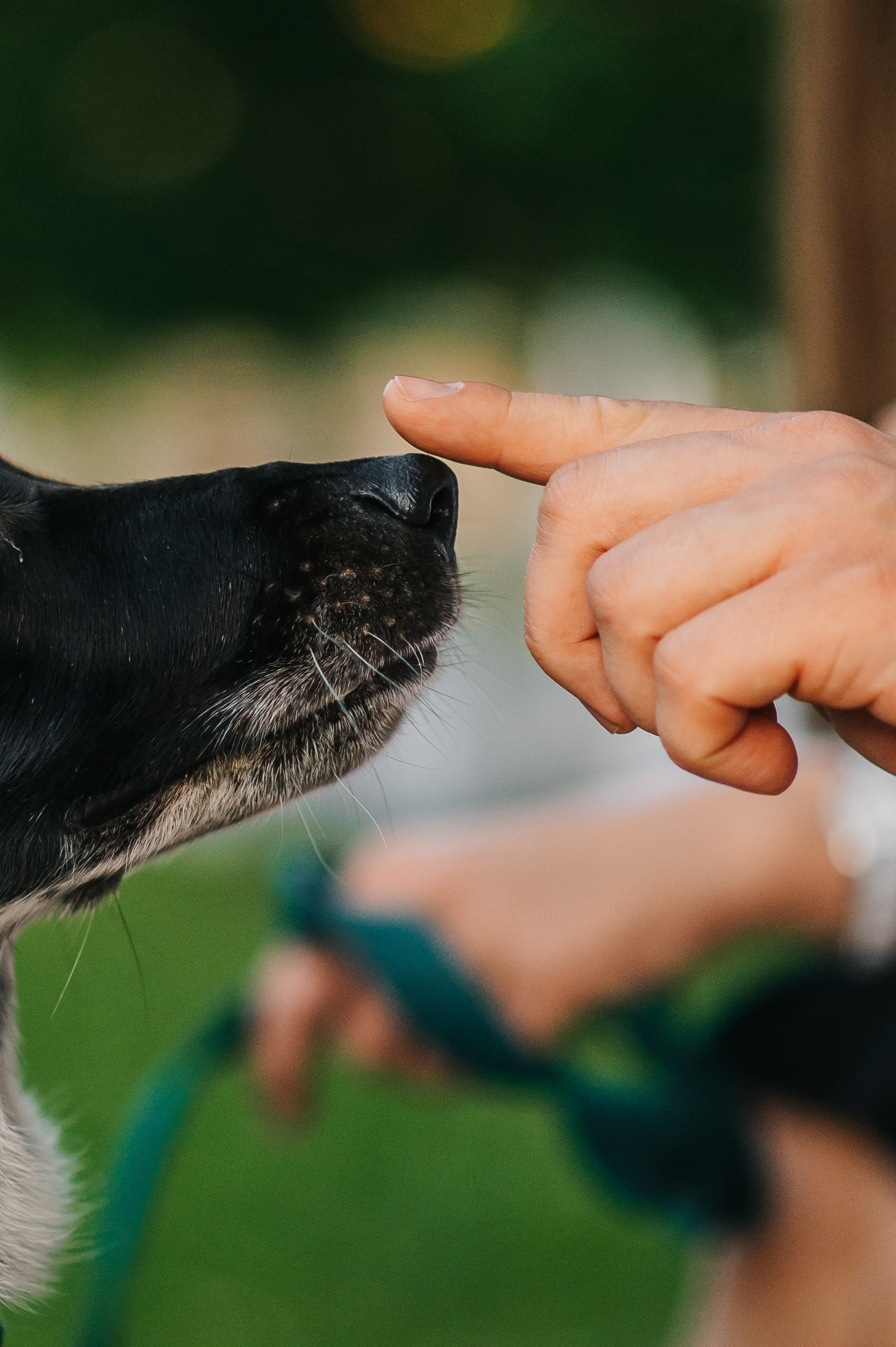Олеся, Саша и Юка (Королев, 2024). Анна Пушина, фотограф, Москва, Королев, Пушкино