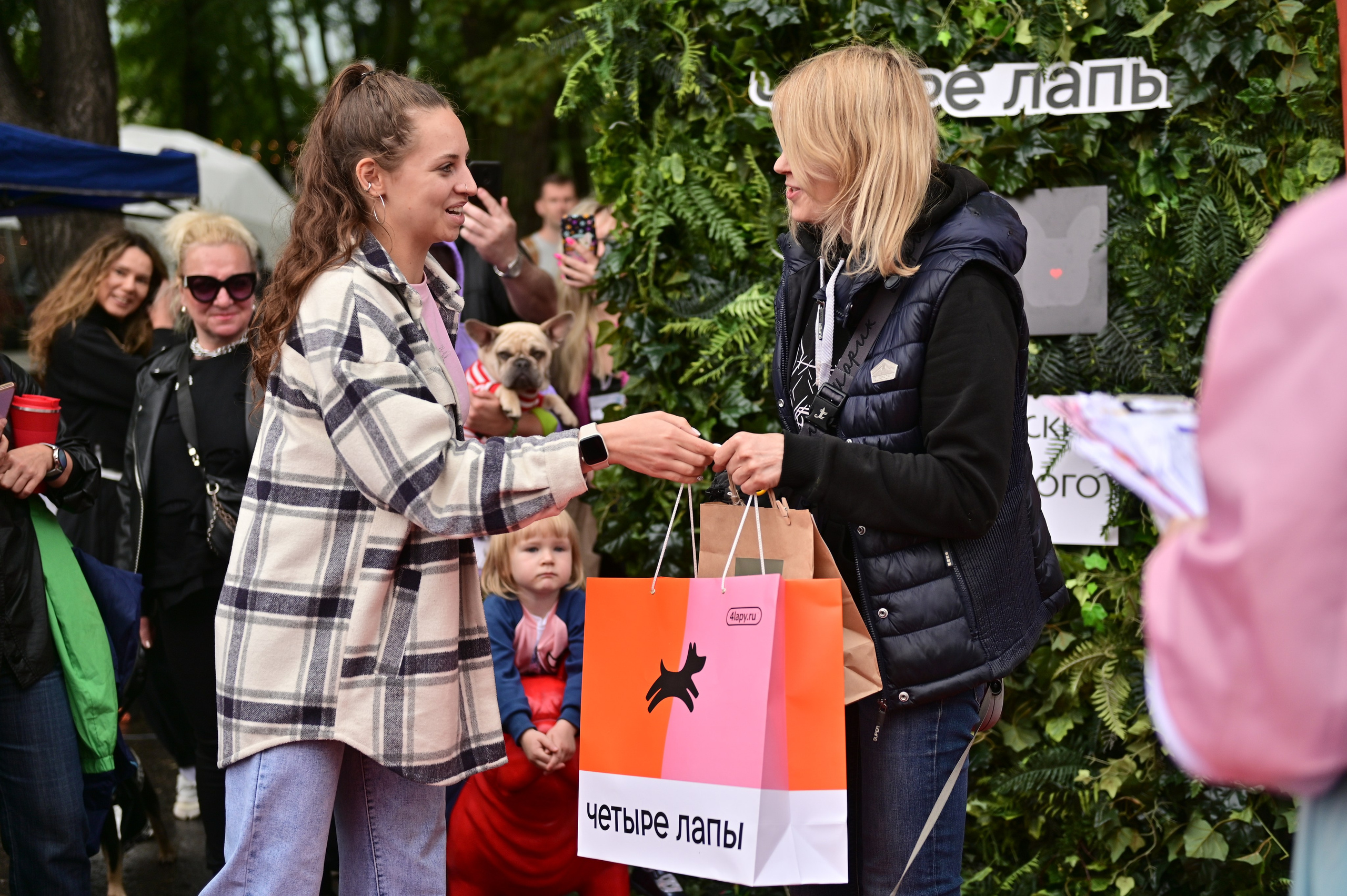 Парад французский бульдогов. Анна Пушина, фотограф, Москва, Королев, Пушкино