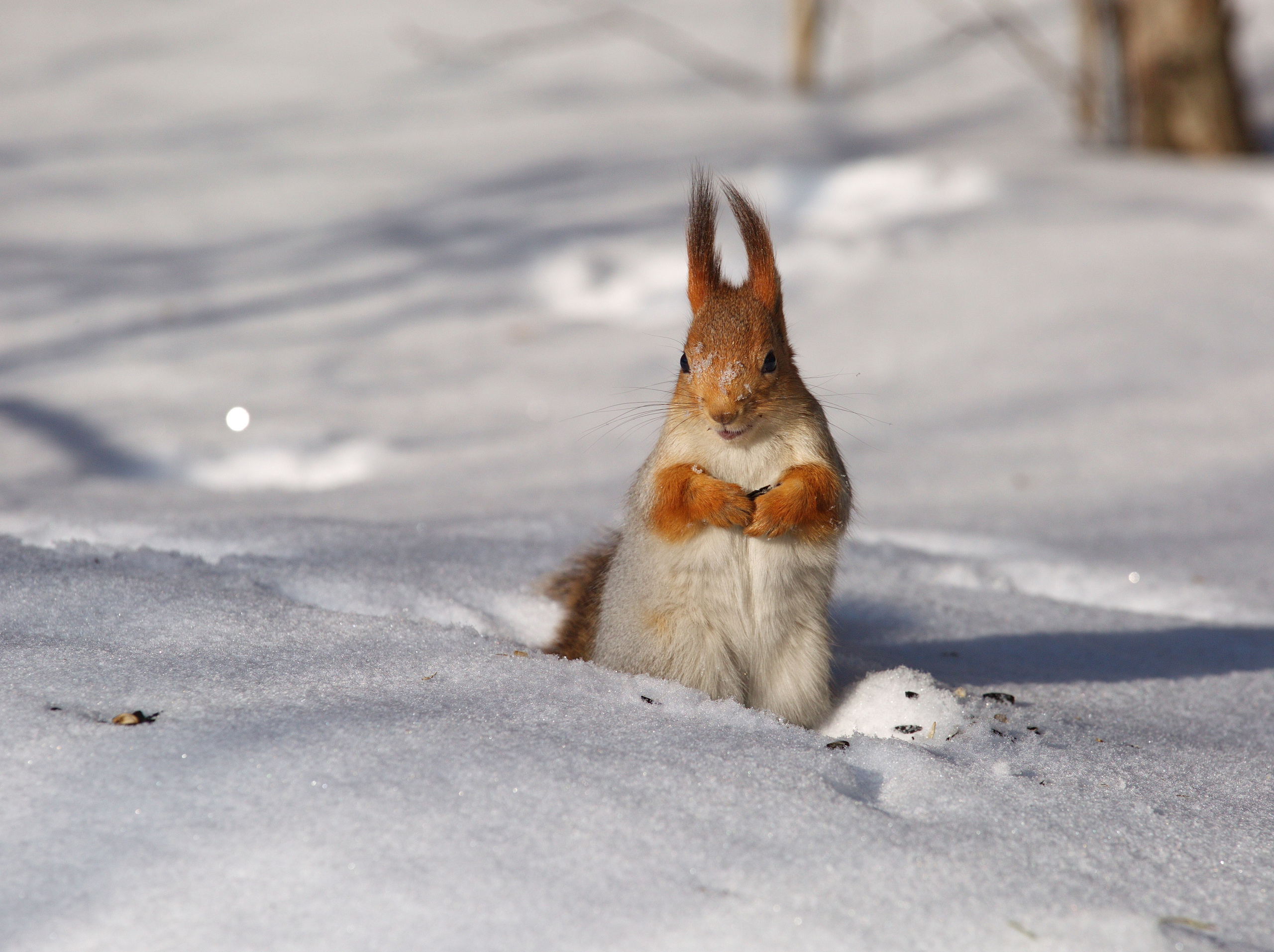 Фото путешественник Хазов Алексей. Новосибирск