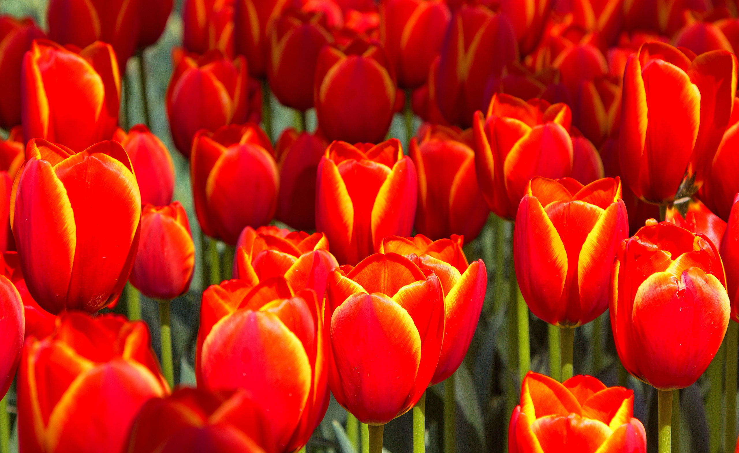 Фото путешественник Хазов Алексей. Новосибирск