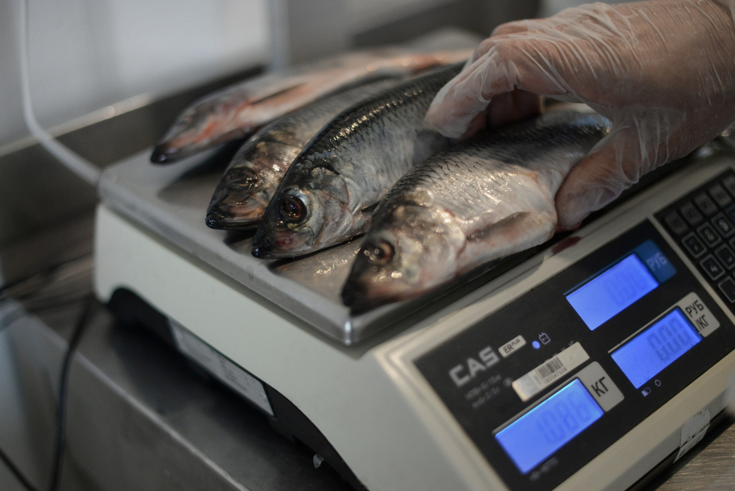 Фотожурналистика. Дарья Пянзина | фотограф |междисциплинарная художница