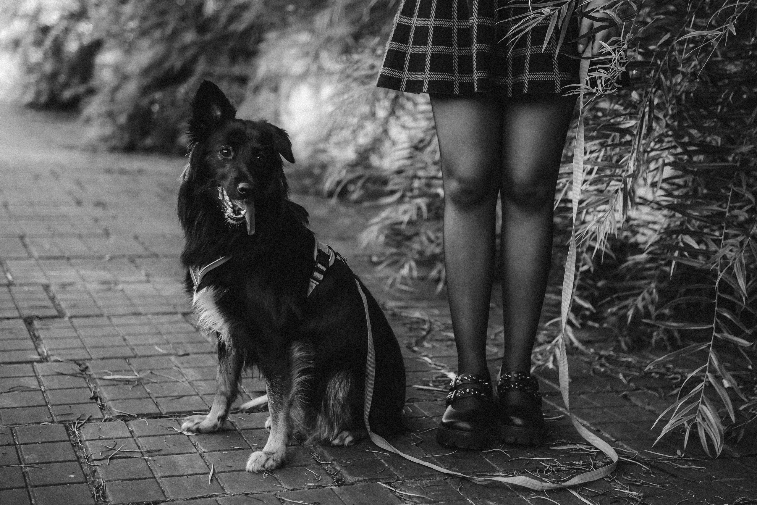 Наташа и Юня. Лена Фокина | Фотограф Смоленск