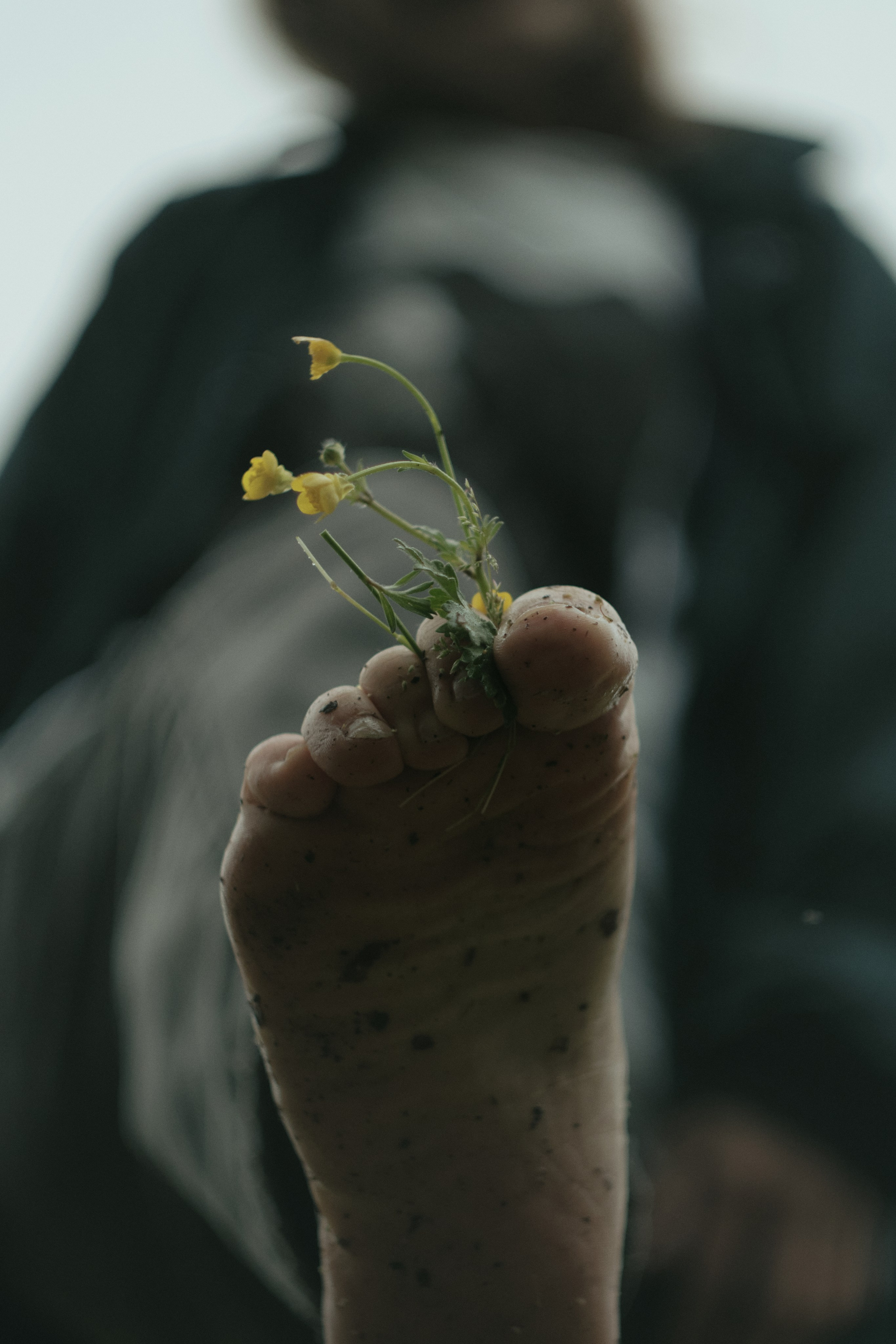 Khosta. Фотограф Настя Лев