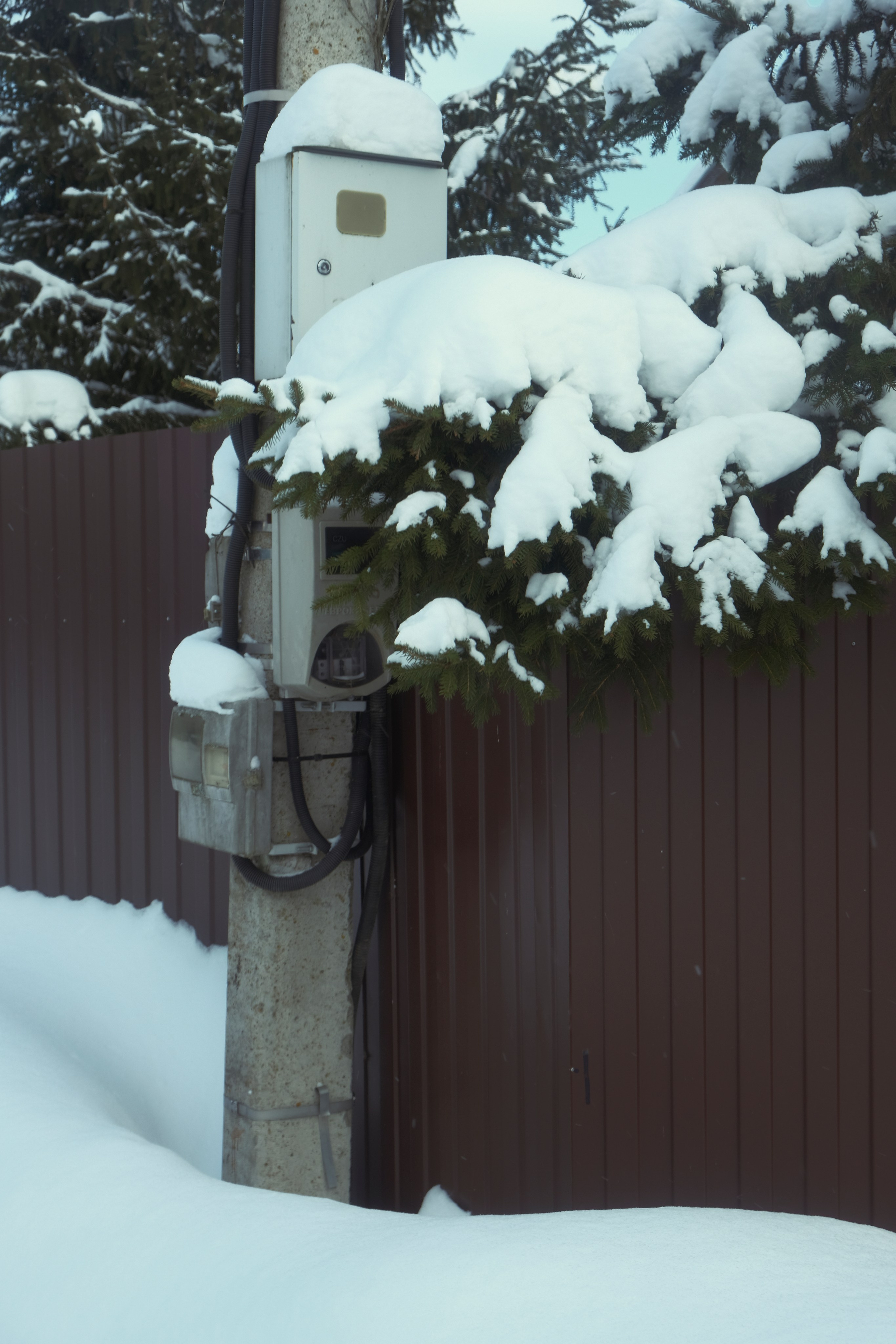 Под Москвой. Фотограф Настя Лев