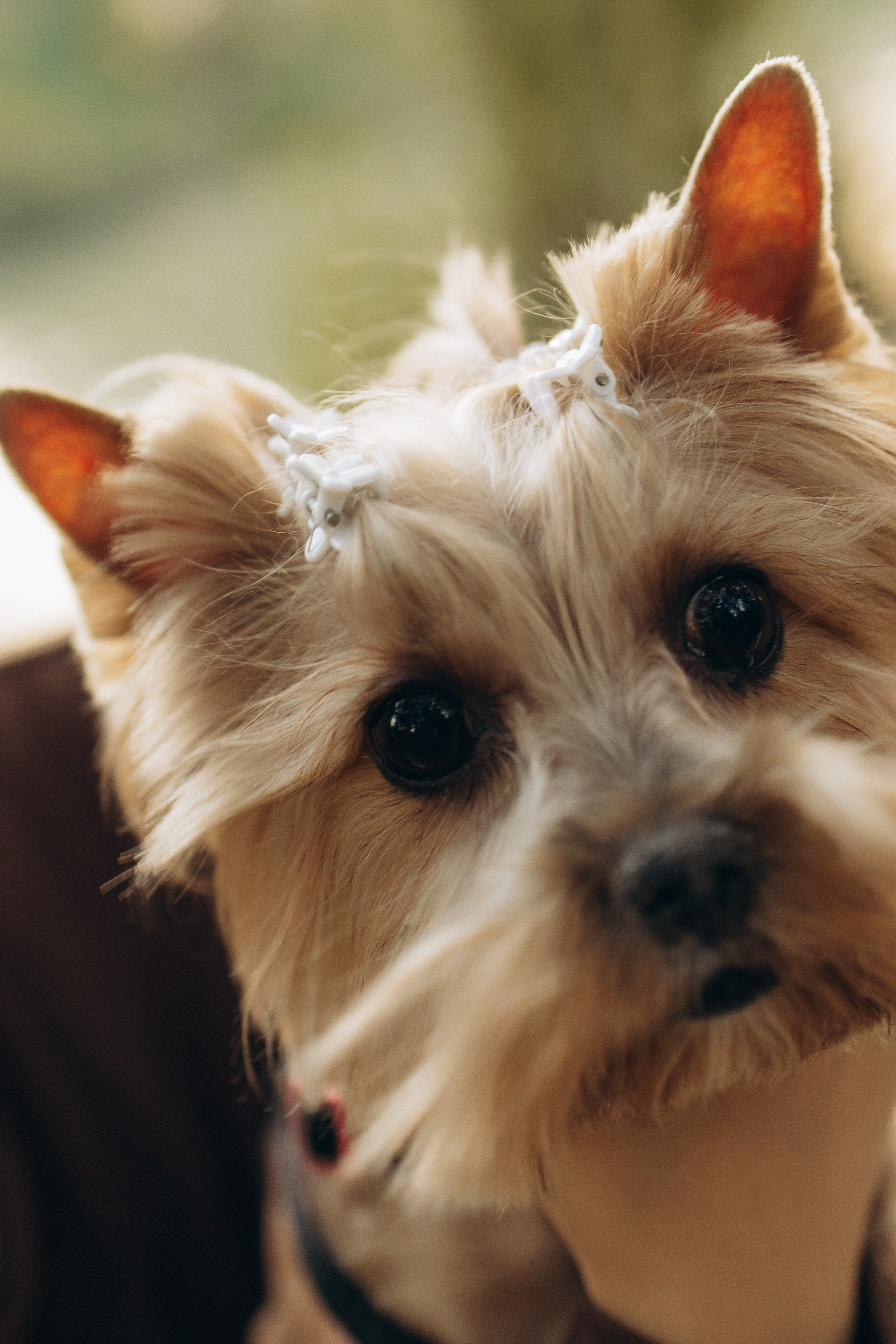 Влад и Ксюша. Самый теплый фотограф в Краснодаре Рябоконь Ксения