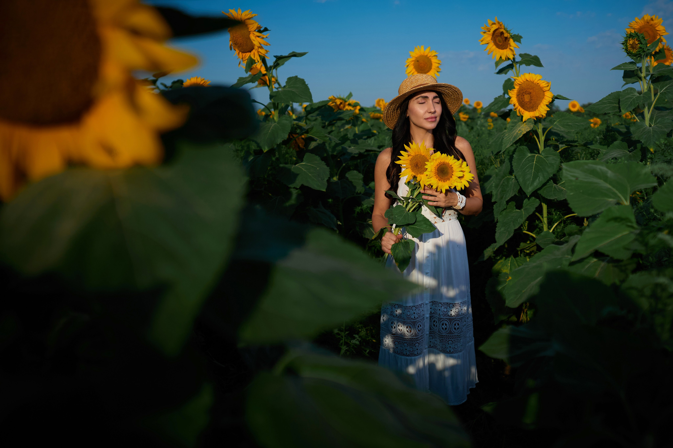 Фотосессия в подсолнухах. Фотограф Наталья Матвеева