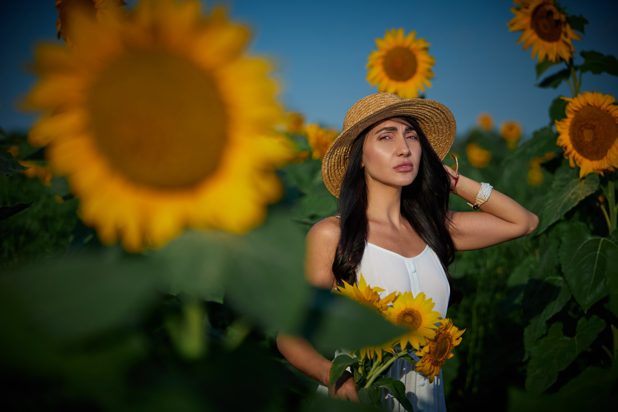 Фотосессия в подсолнухах. Фотограф Наталья Матвеева