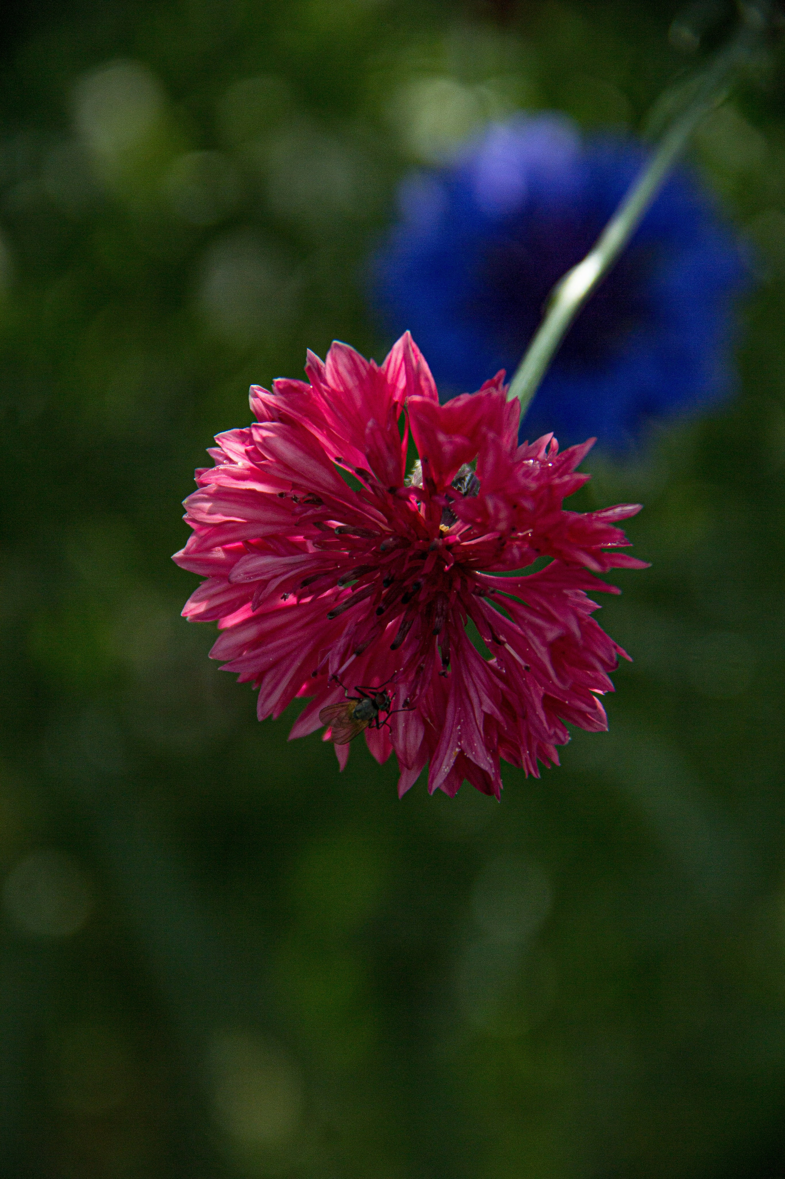 Subject: в саду. Фотограф в Перми Любовь Огородова | Авторские туры