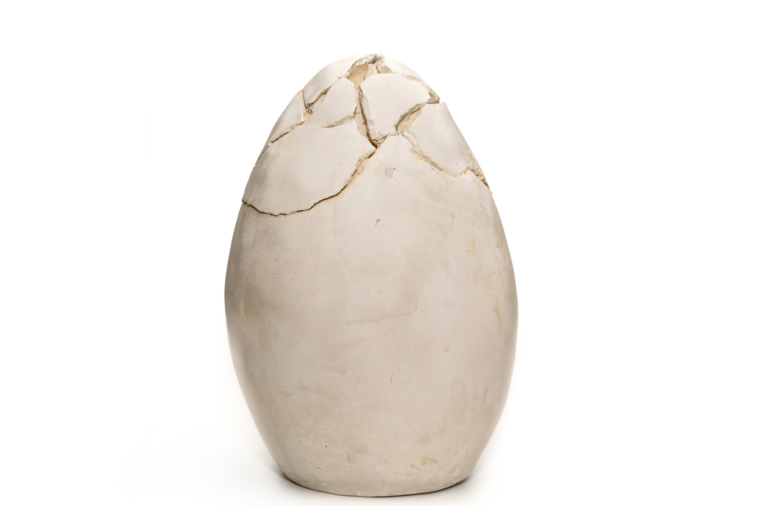 Искусство. Твой фотограф Алина Кочергина