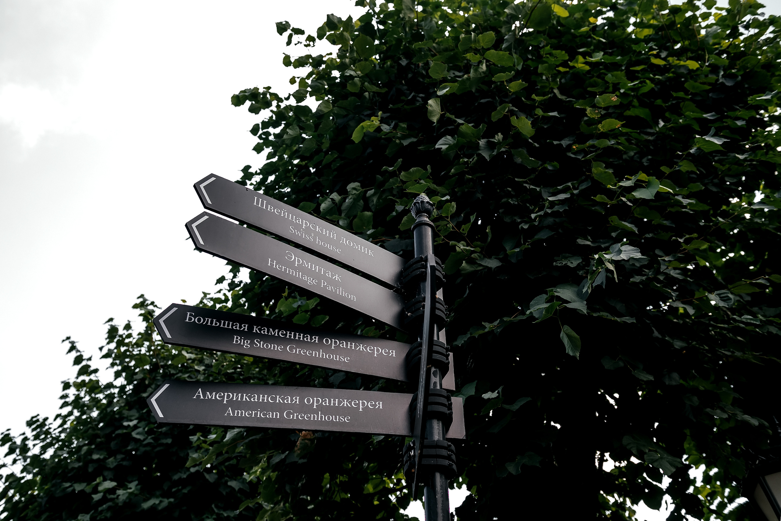 Игорь + Даша, Балашиха. Свадебный и семейный фотограф Виктория Носачёва. Щелково, Москва и МО