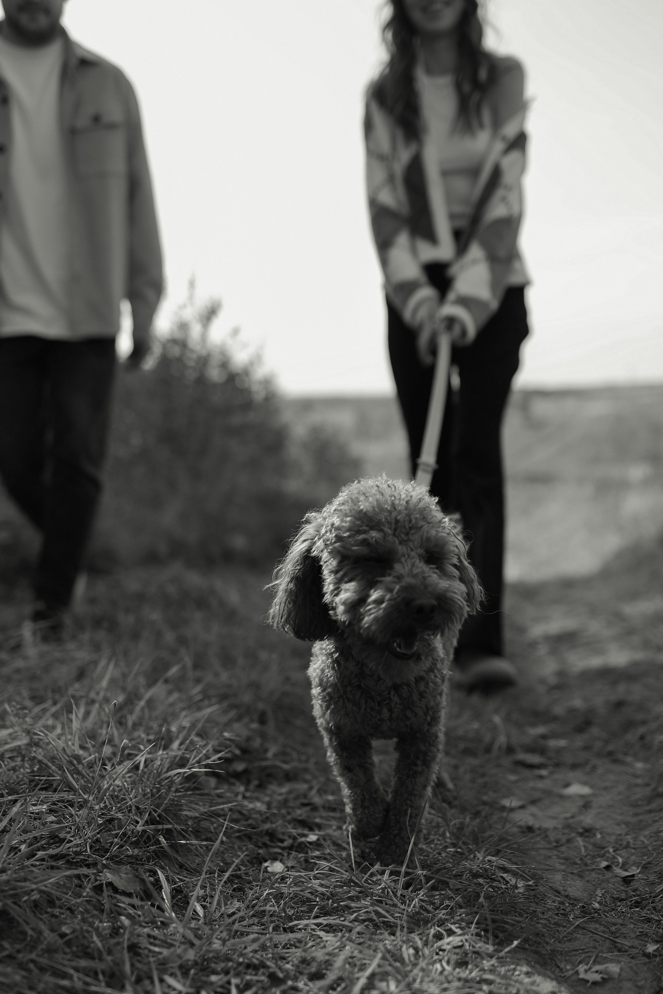 Дима, Настя и песик Тим | история любви. Фотограф в Нижнем Новгороде Креава Ира