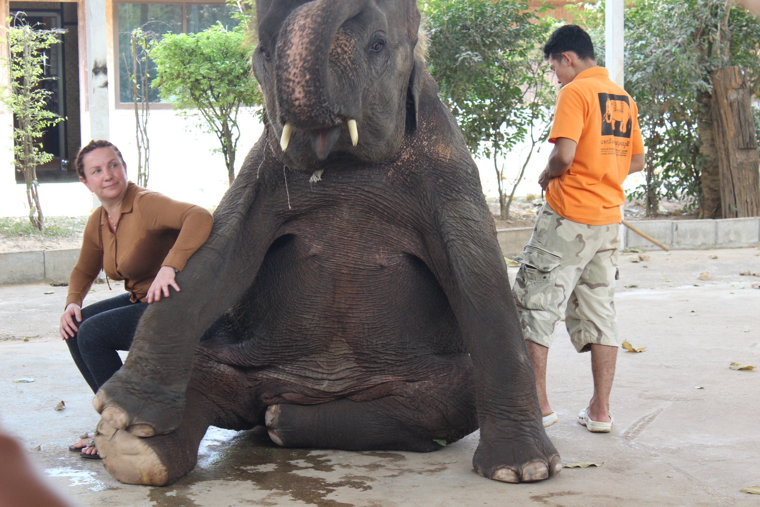 Таиланд |10-25.02.2018. Галерея Фантим