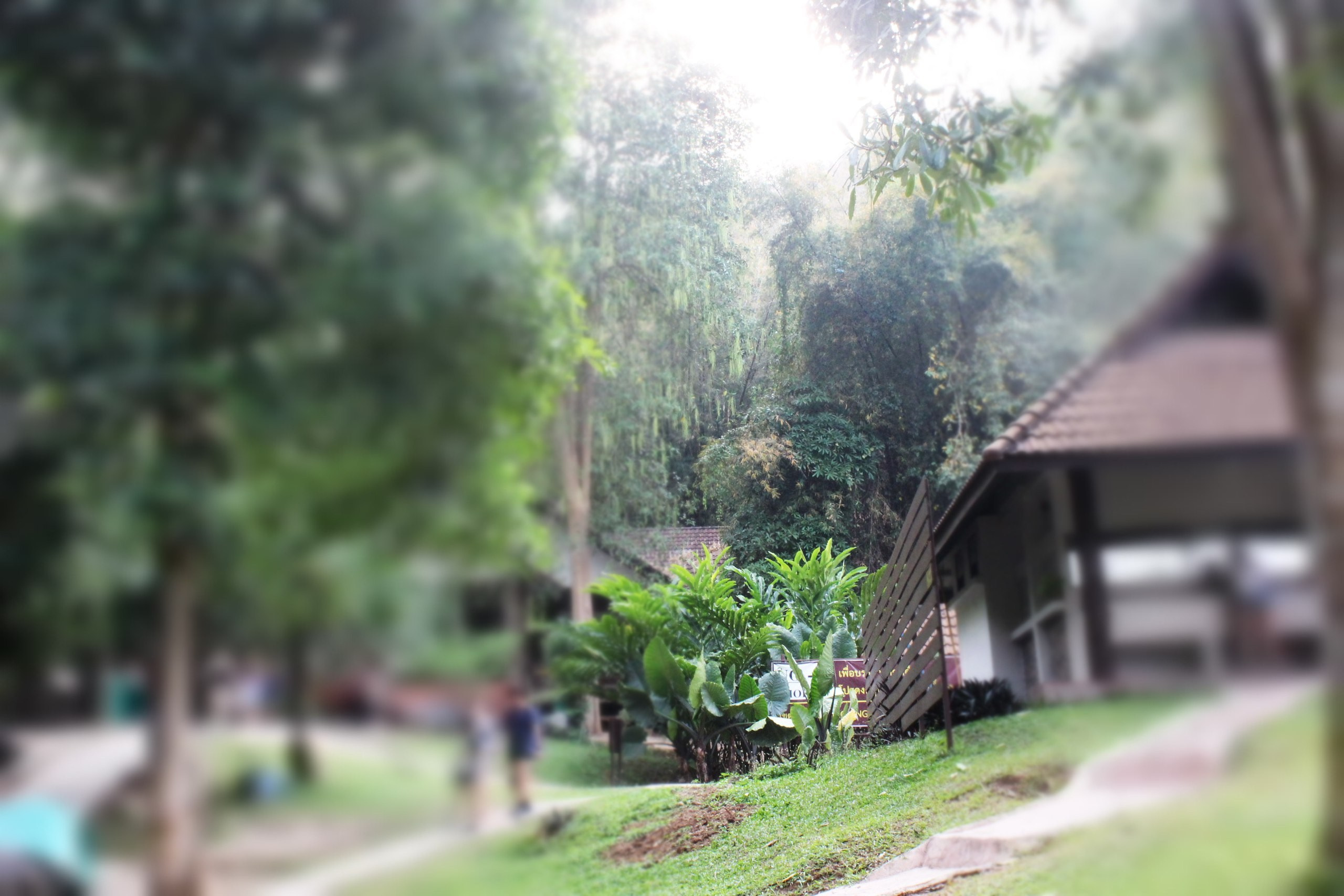 Таиланд |10-25.02.2018. Галерея Фантим