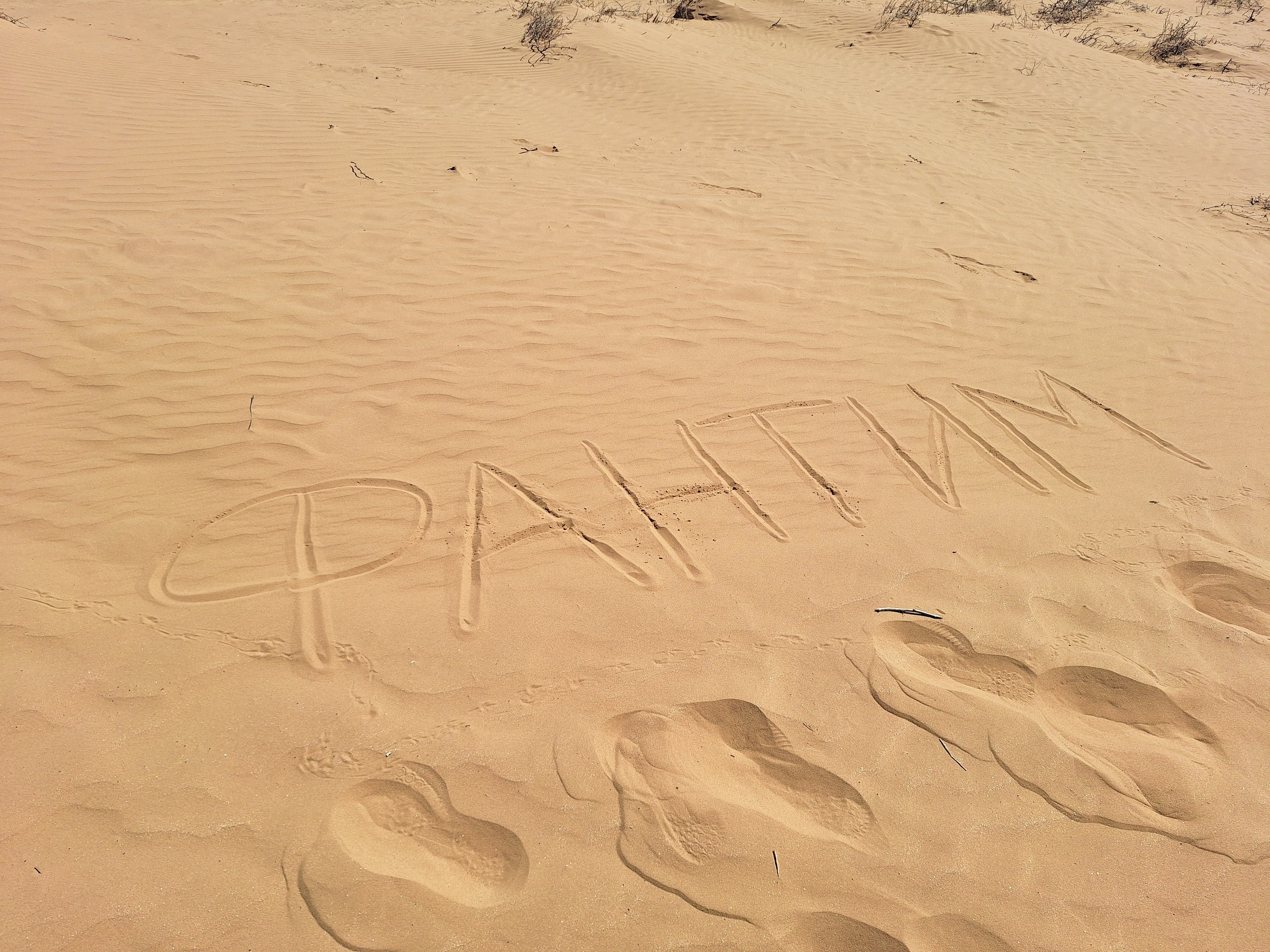 Астрахань и Элиста. Экскурсионная поездка | 30.04-04.05.2025. Галерея Фантим