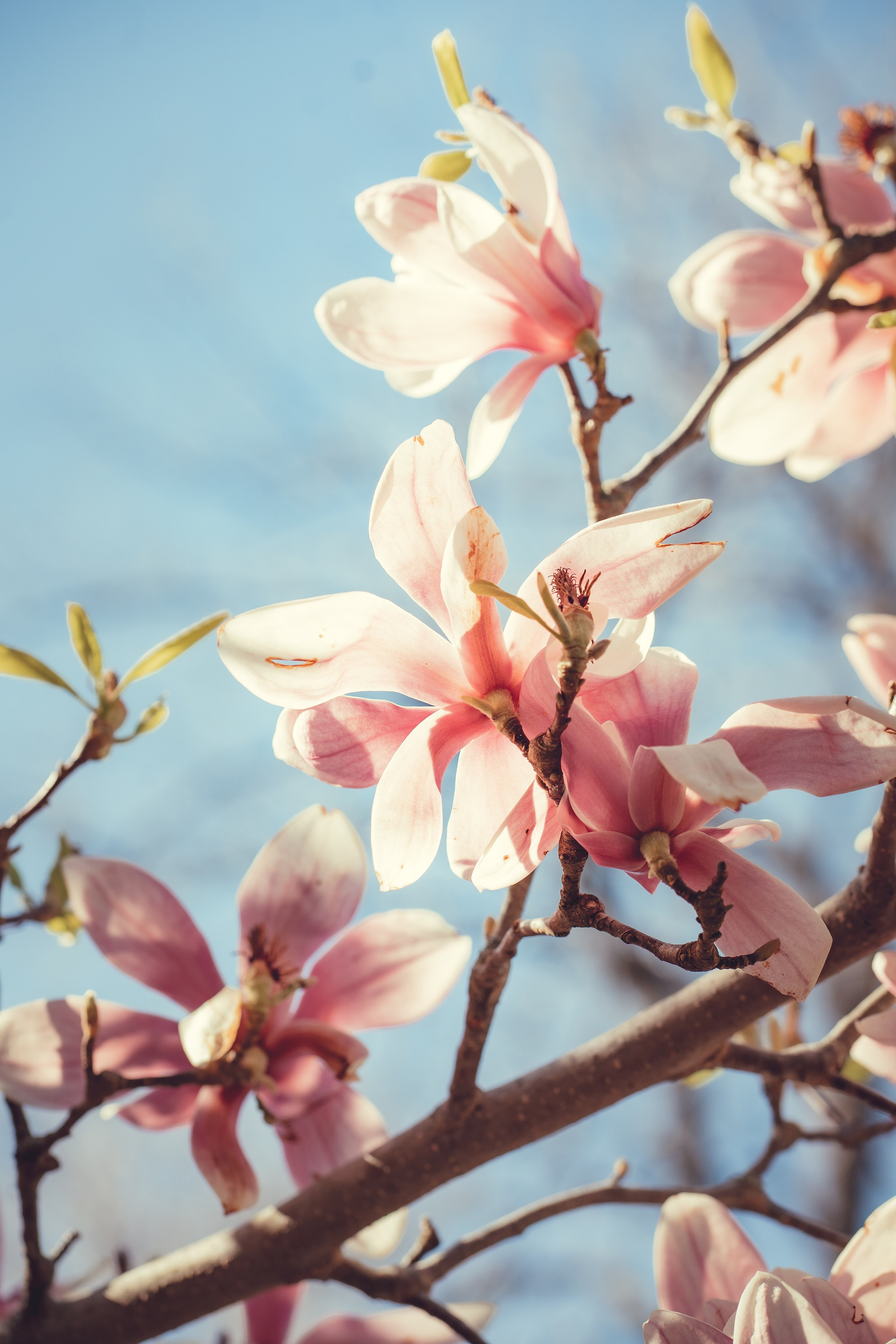 Летние фотосессии. Фотограф и фотохудожник