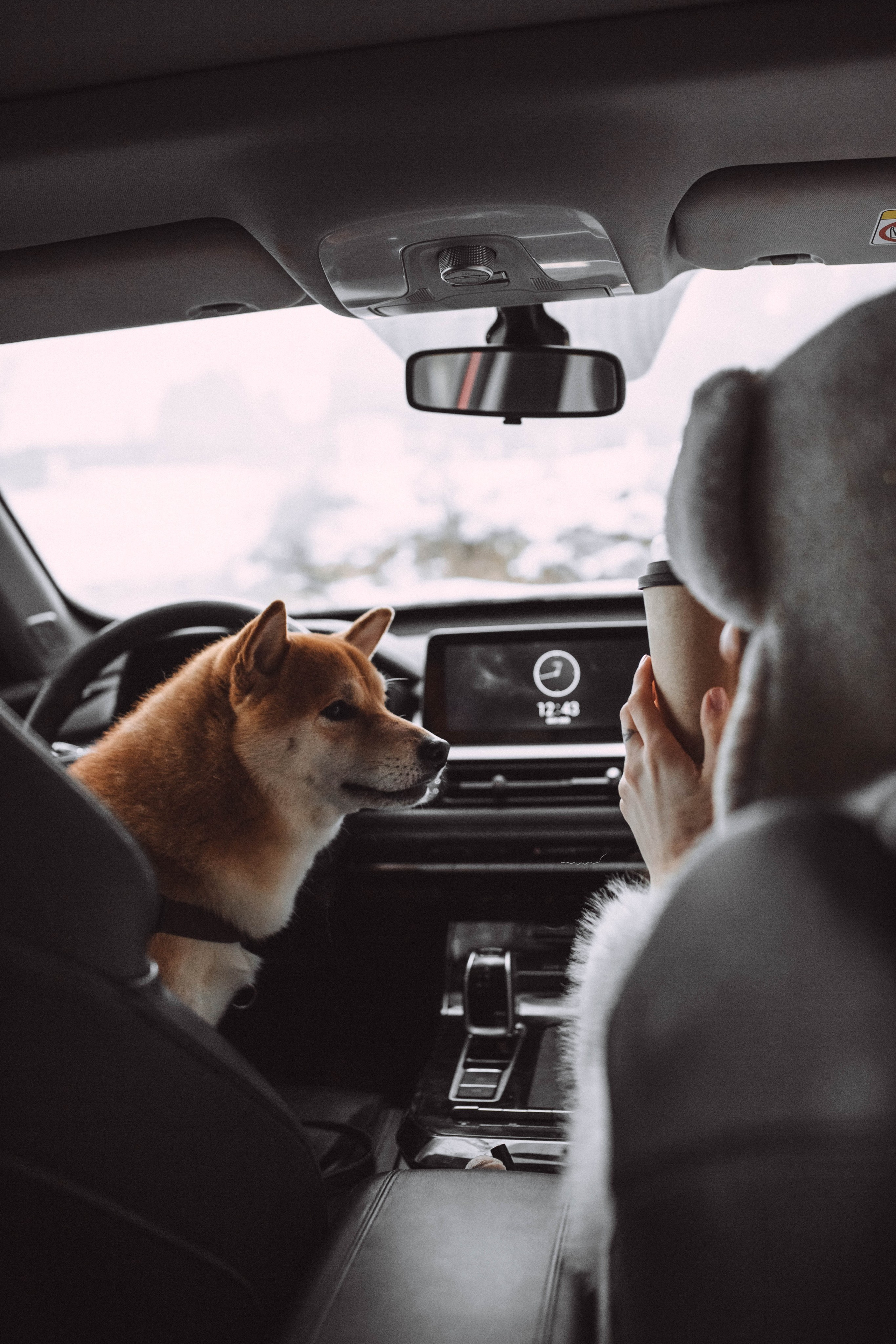 Лера и Каппи. Семейный и женский фотограф в Москве/Твери. Меня зовут Яна Гош