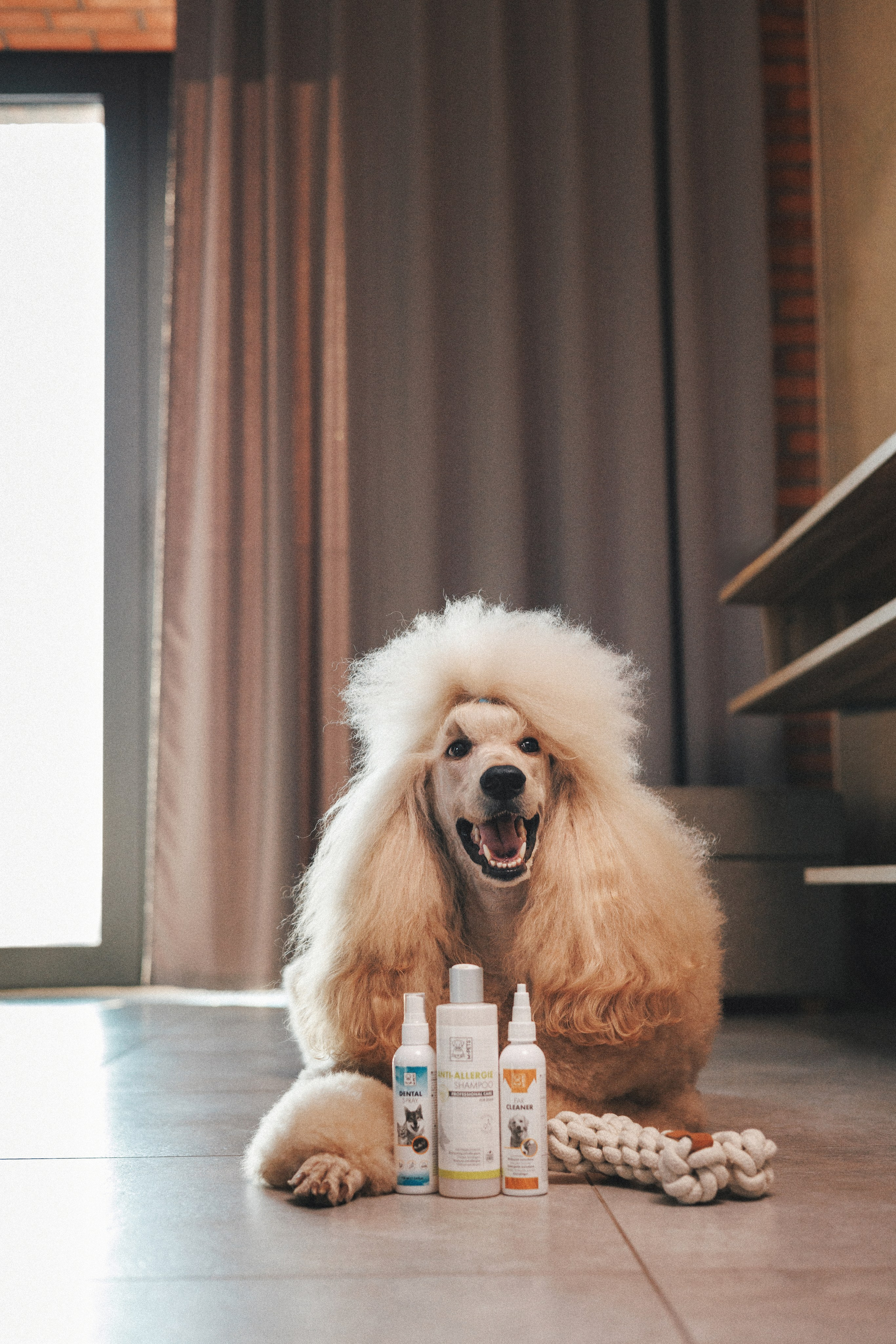 M-Pets. Фотограф анималист Осипчикова Мария