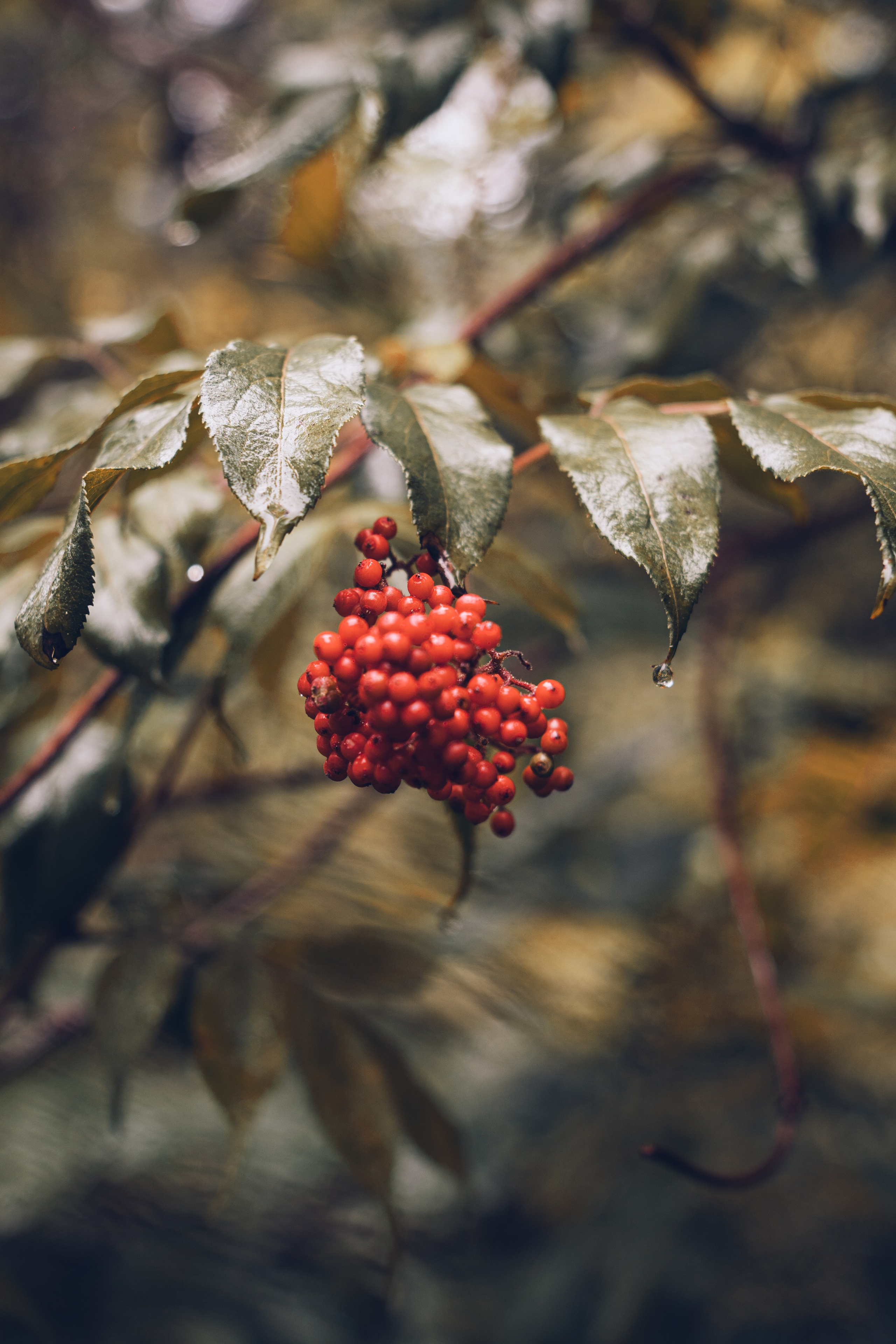 Алтай. Gusarov Travel Photography