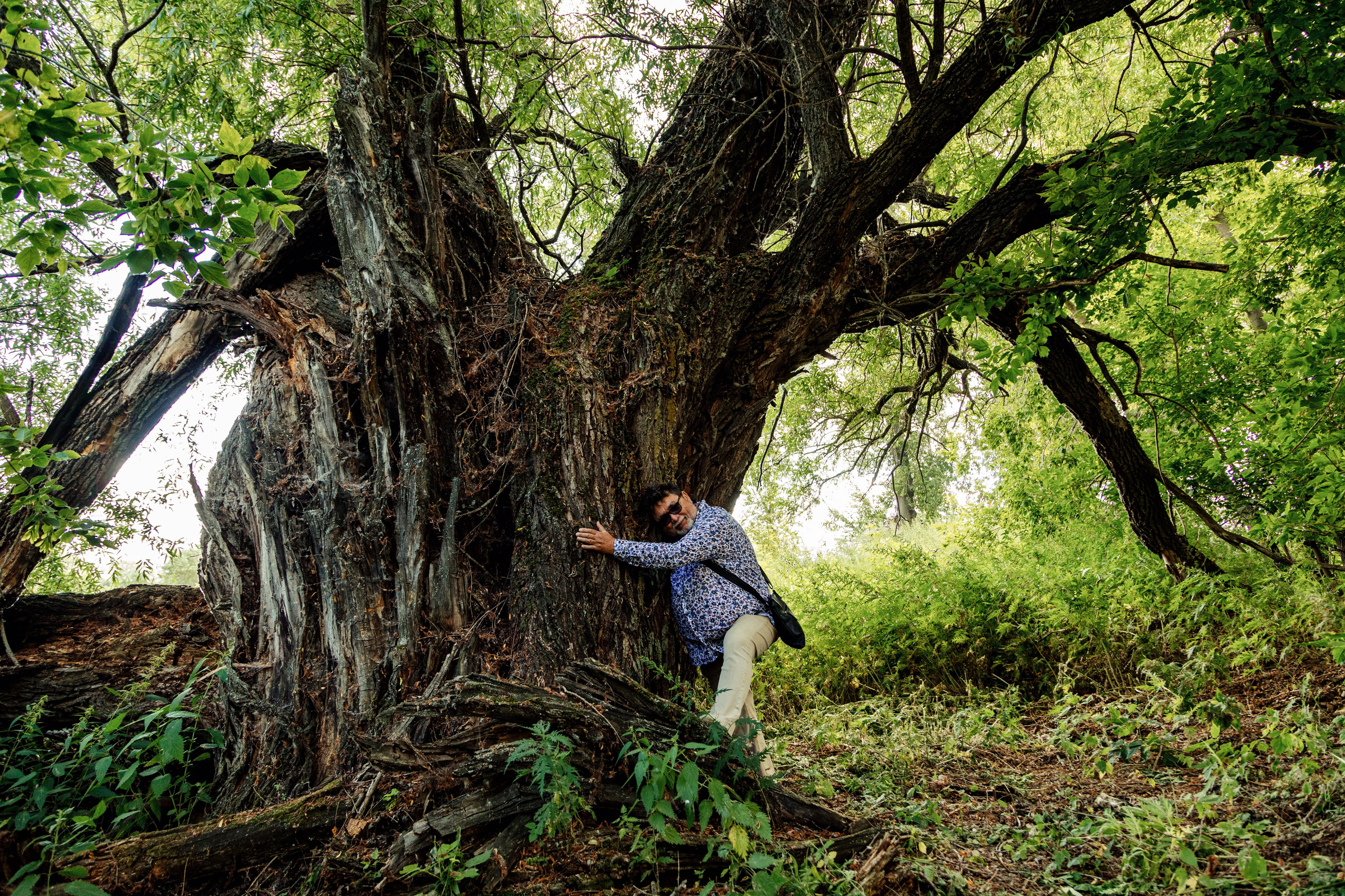 Уютный город мой. Фотограф Андрей Гузеев