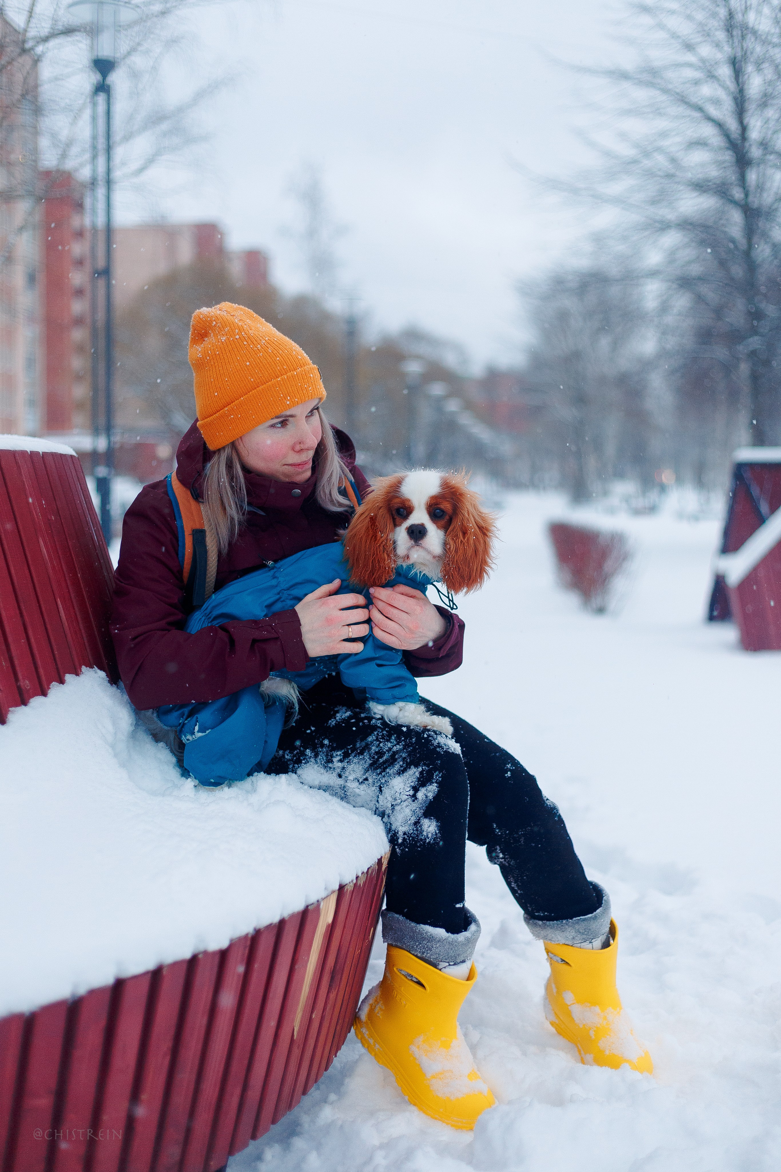 Внезапно апрельская зима. Фотограф-анималист Наталия Чистюхина в г. Сосновый Бор и ЛО