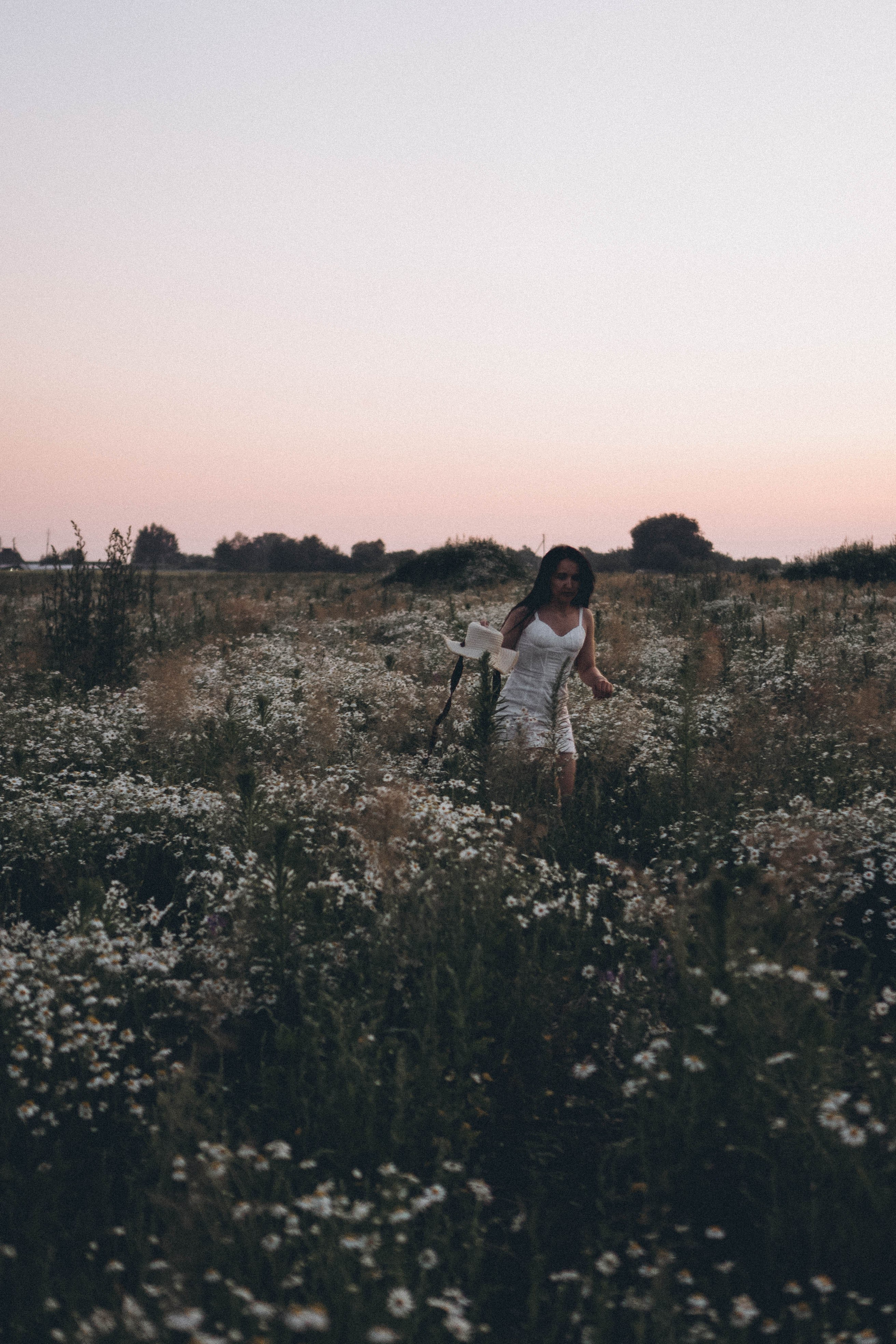 Ромашковое поле. Профессиональный фотограф, Санкт-Петербург — Виктория Богомолова