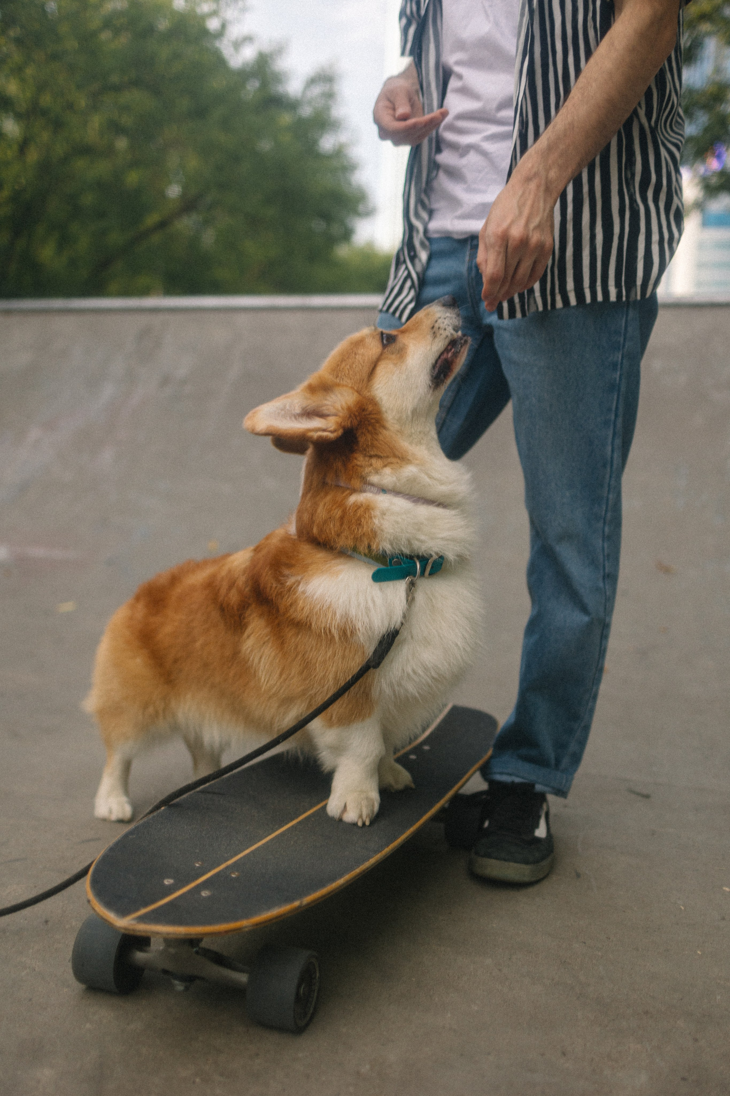 Брюс, Вейв и их ро. Фотораф — анималист Мария Шистка
