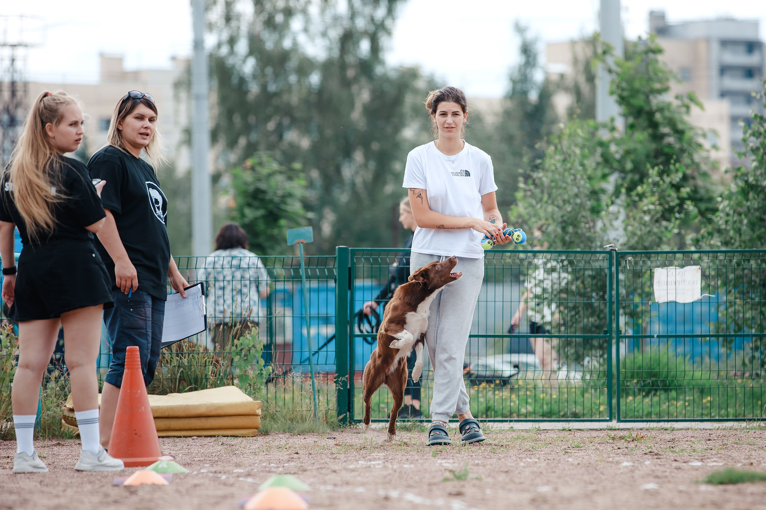 Питч&Гоу + веселые старты. Фотограф-анималист Mary Mart — Москва, Питер