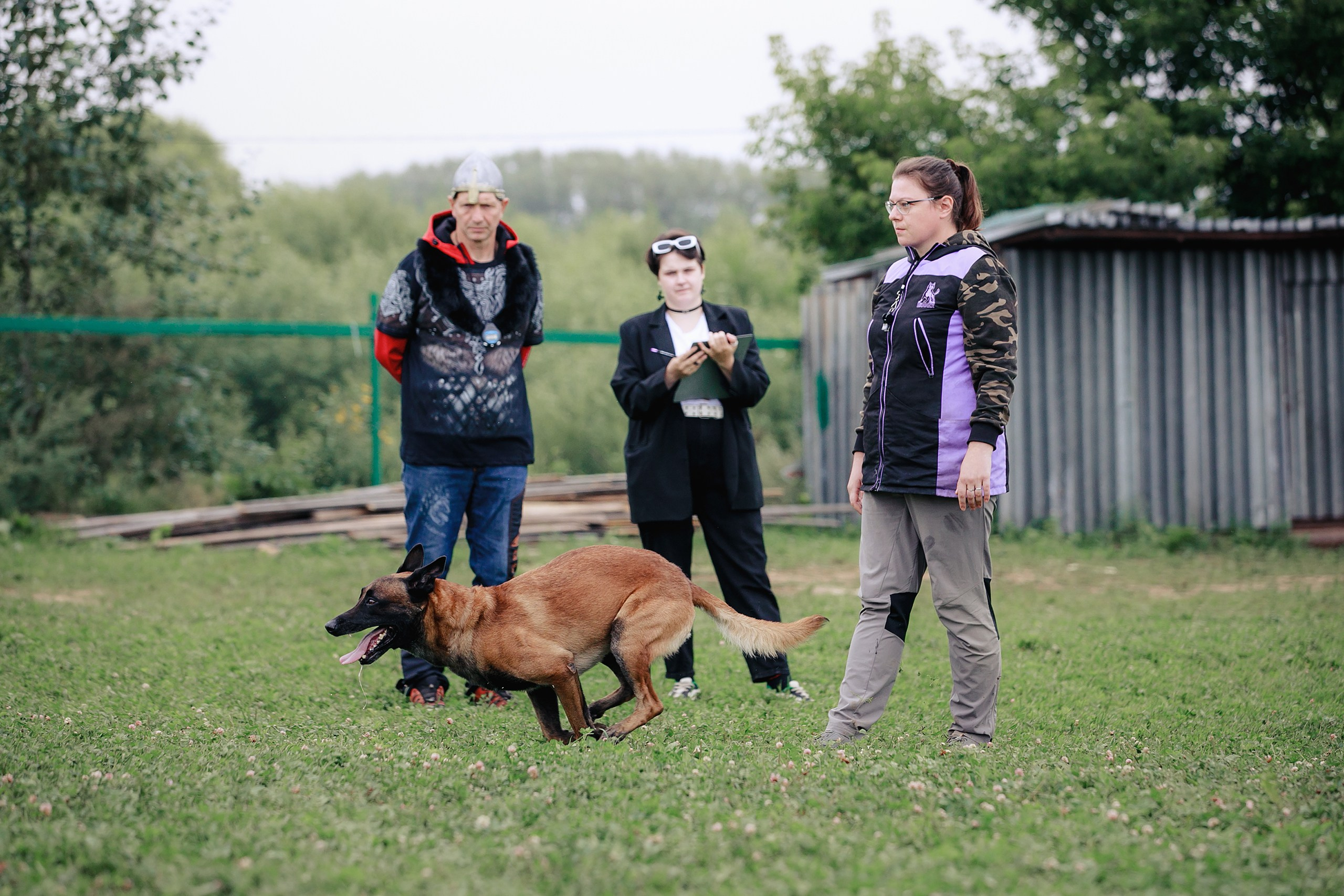 Мондьоринг М1, М2, М3, Вологда. Фотограф-анималист Mary Mart — Москва, Питер