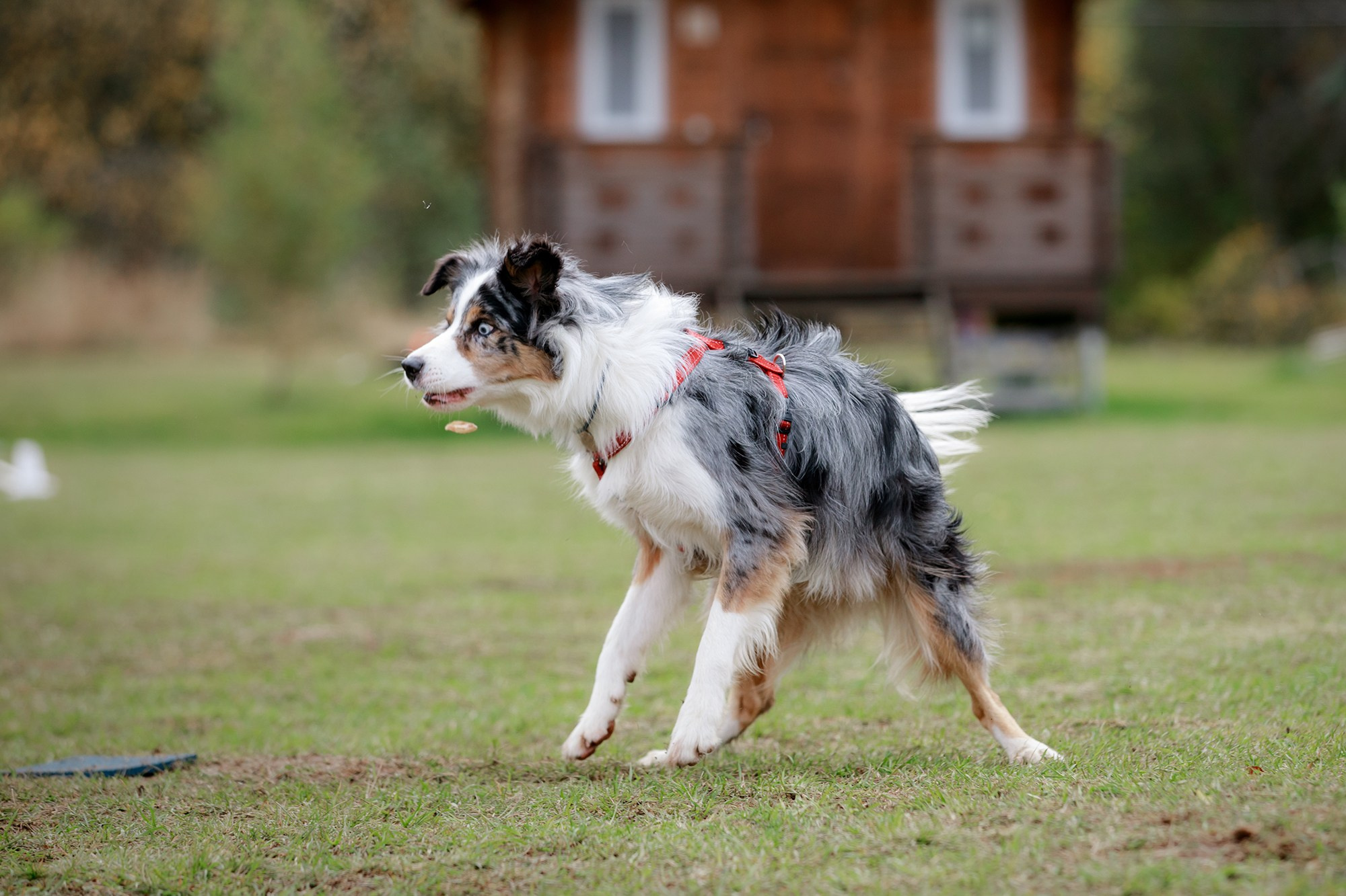 Лагерь по ОБД с Инной Баженовой. Фотограф-анималист Mary Mart — Москва, Питер