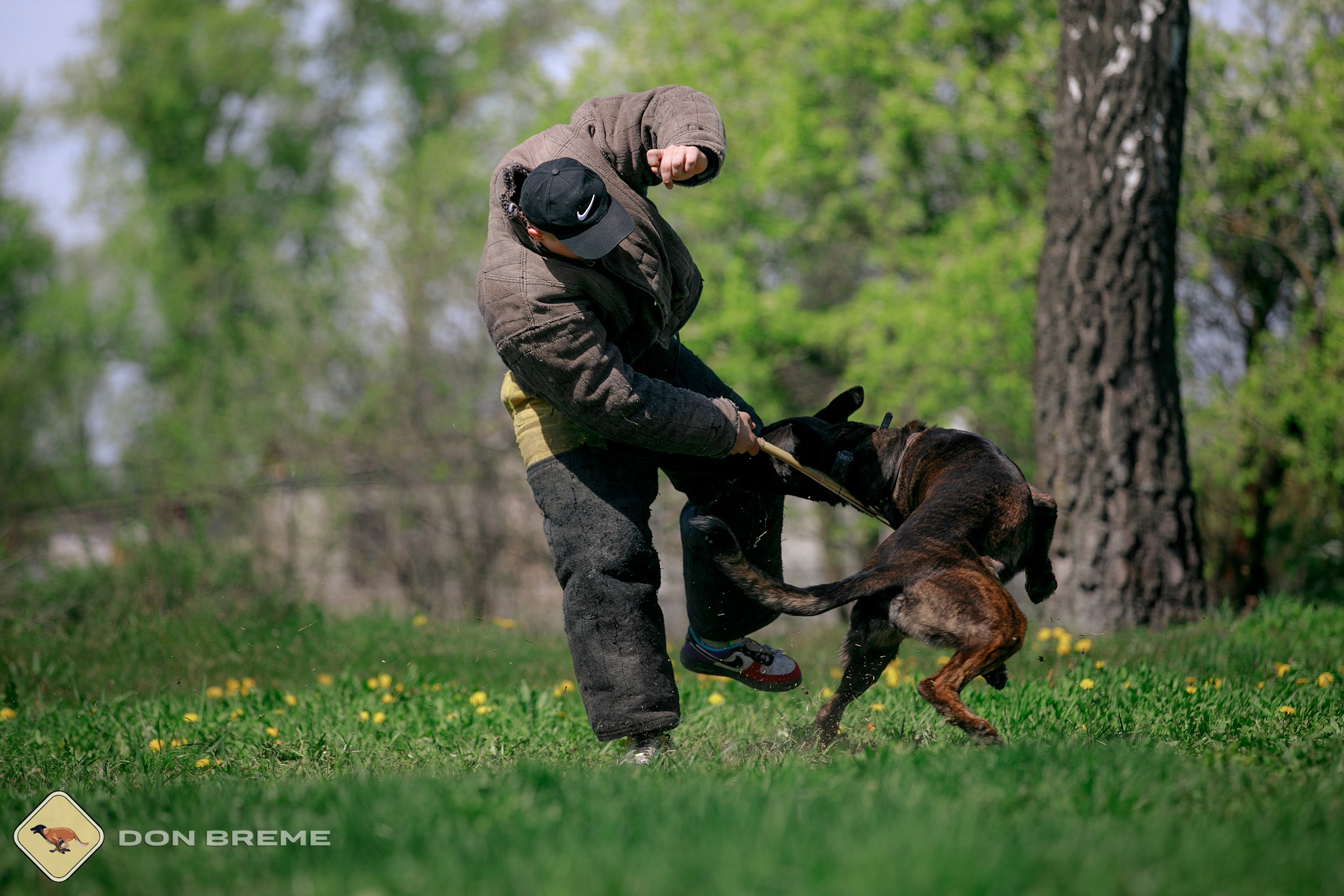 Семинар для фигурантов, день 4. Фотограф-анималист Mary Mart — Москва, Питер