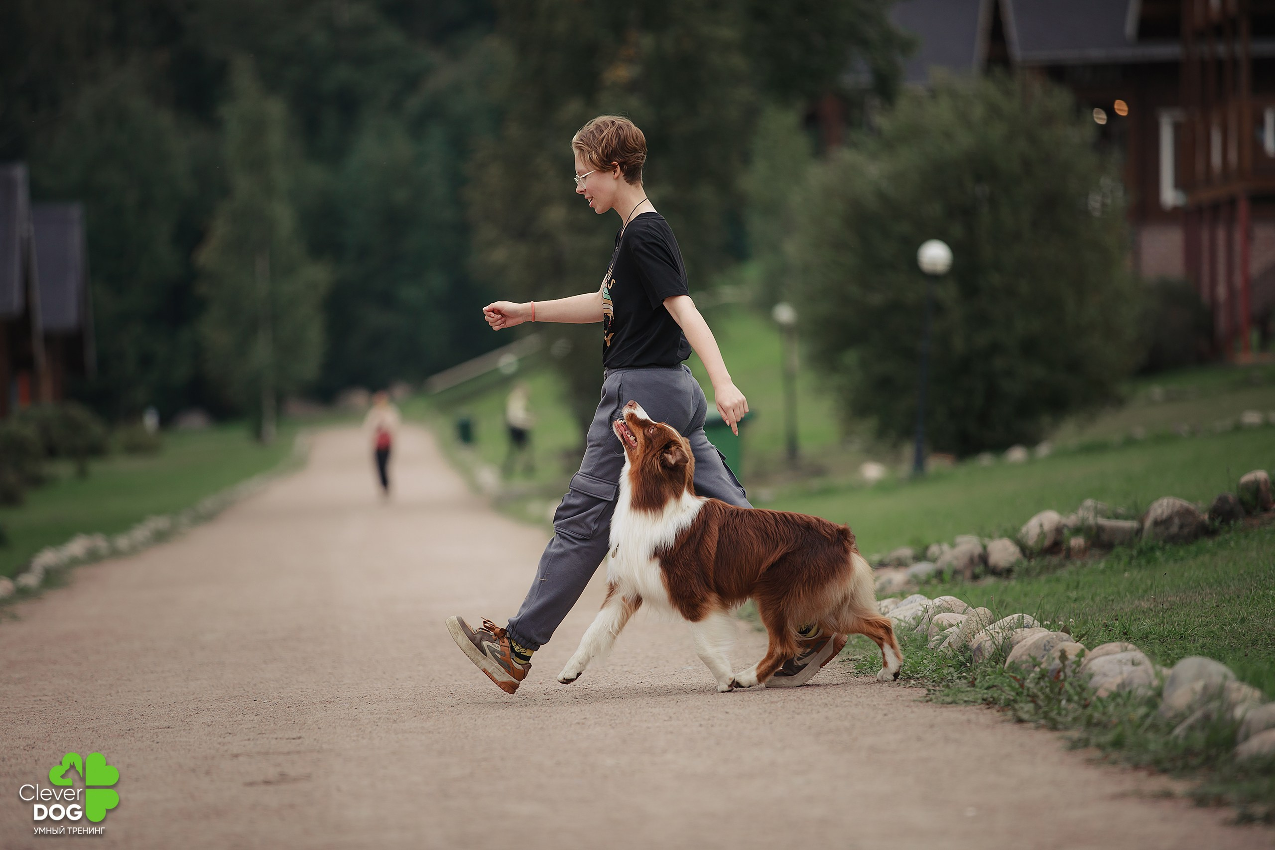 Кинологический лагерь CleverDog, 2024. Фотограф-анималист Mary Mart — Москва, Питер
