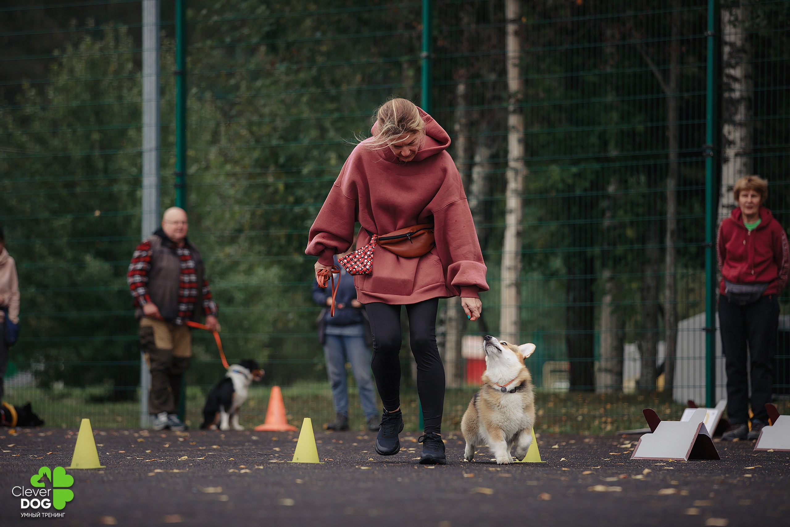 Кинологический лагерь CleverDog, 2024. Фотограф-анималист Mary Mart — Москва, Питер