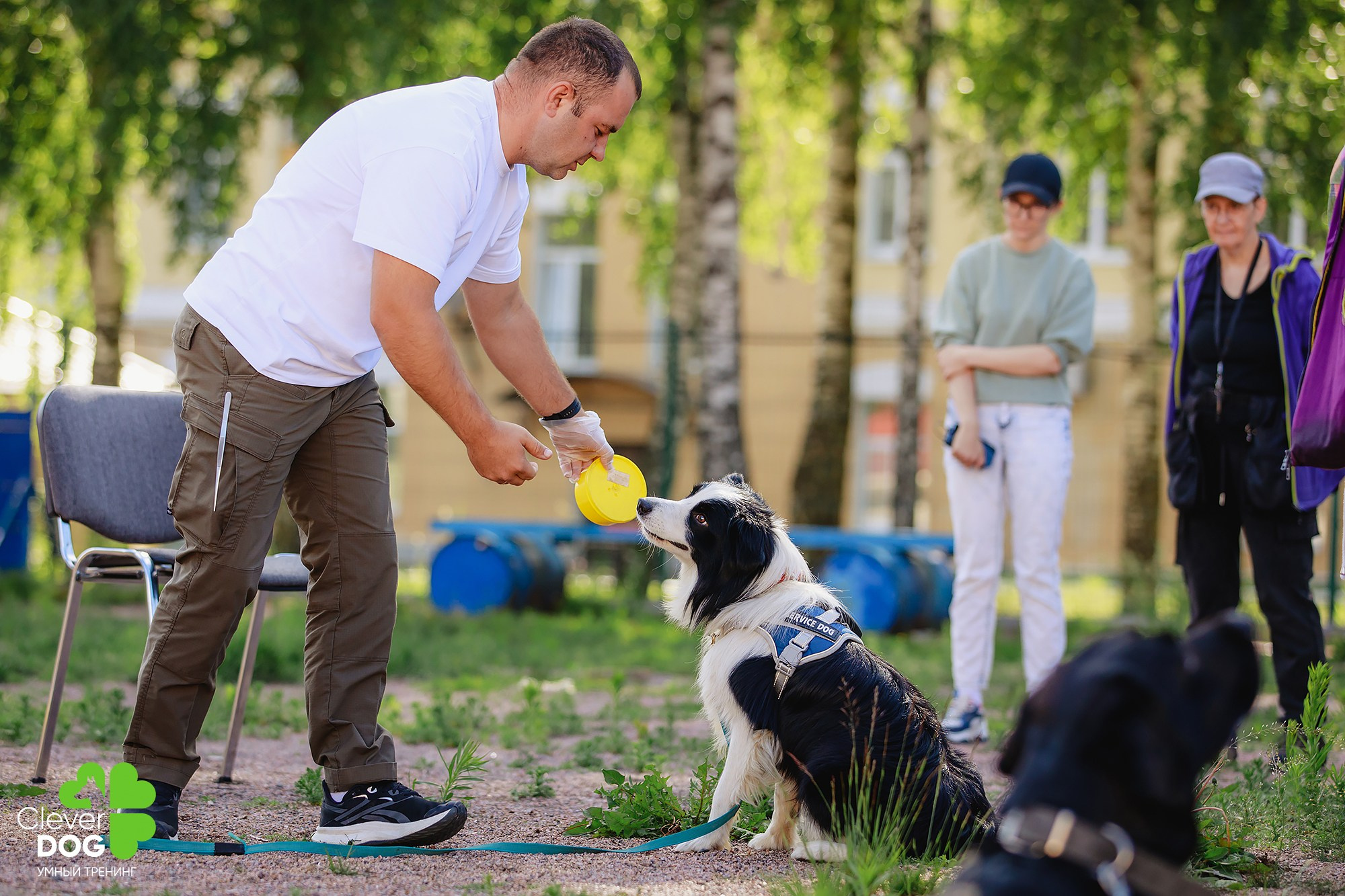 Семинар по поиску запаха с Иваном Ломовым, организатор CleverDog, СПб. Фотограф-анималист Mary Mart — Москва, Питер