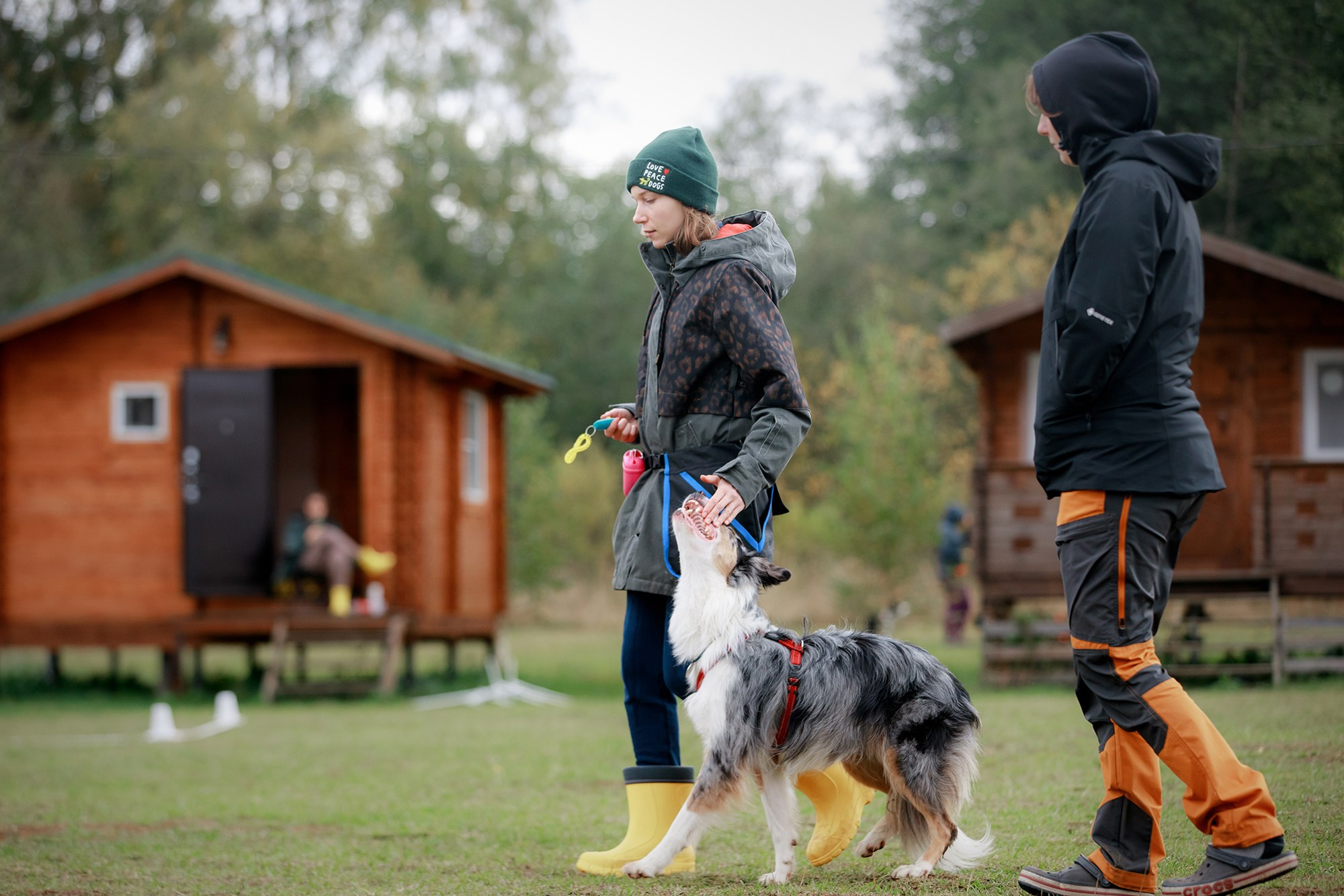 Лагерь по ОБД с Инной Баженовой. Фотограф-анималист Mary Mart — Москва, Питер